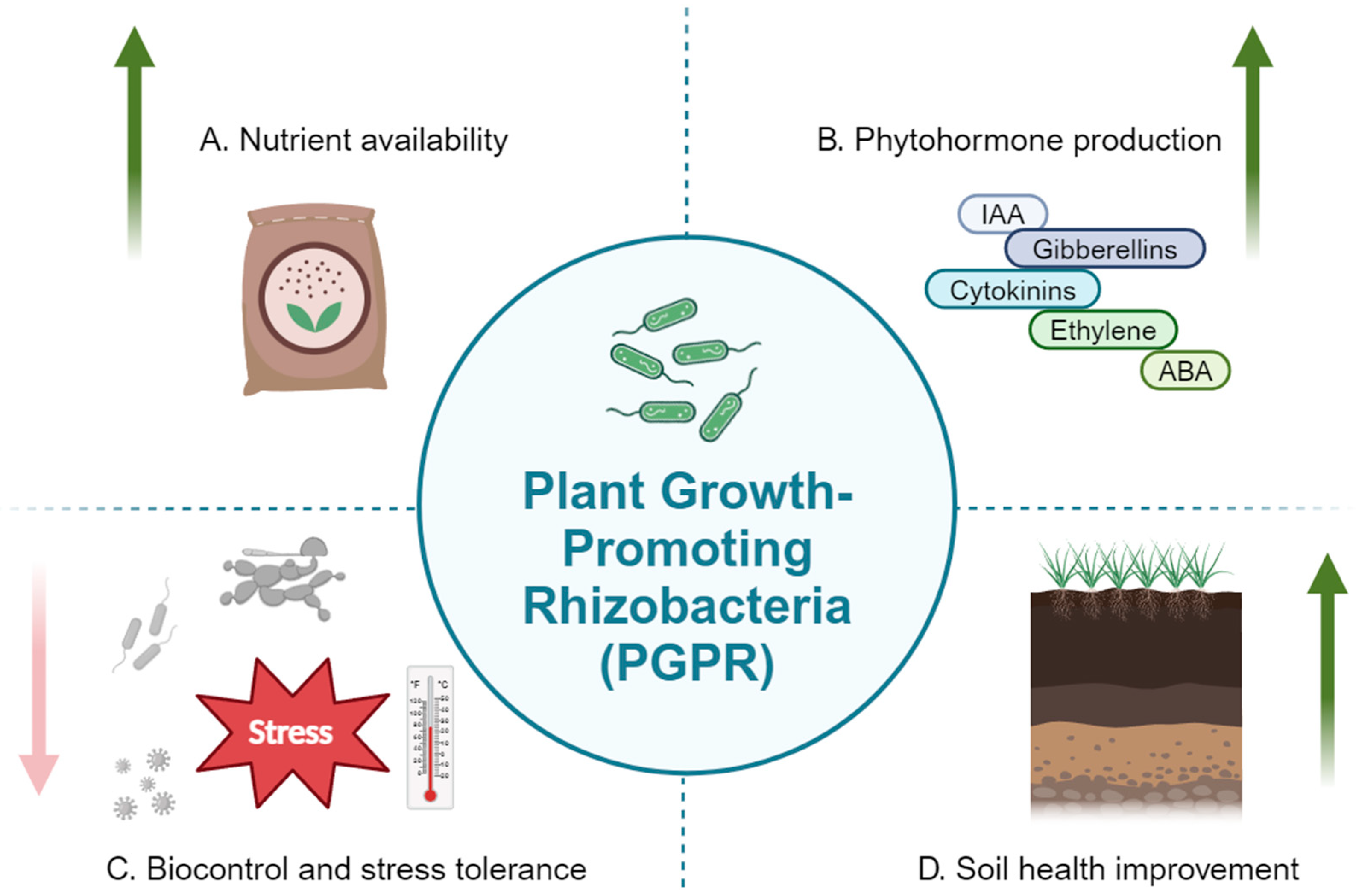 Bacteria 03 00030 g001