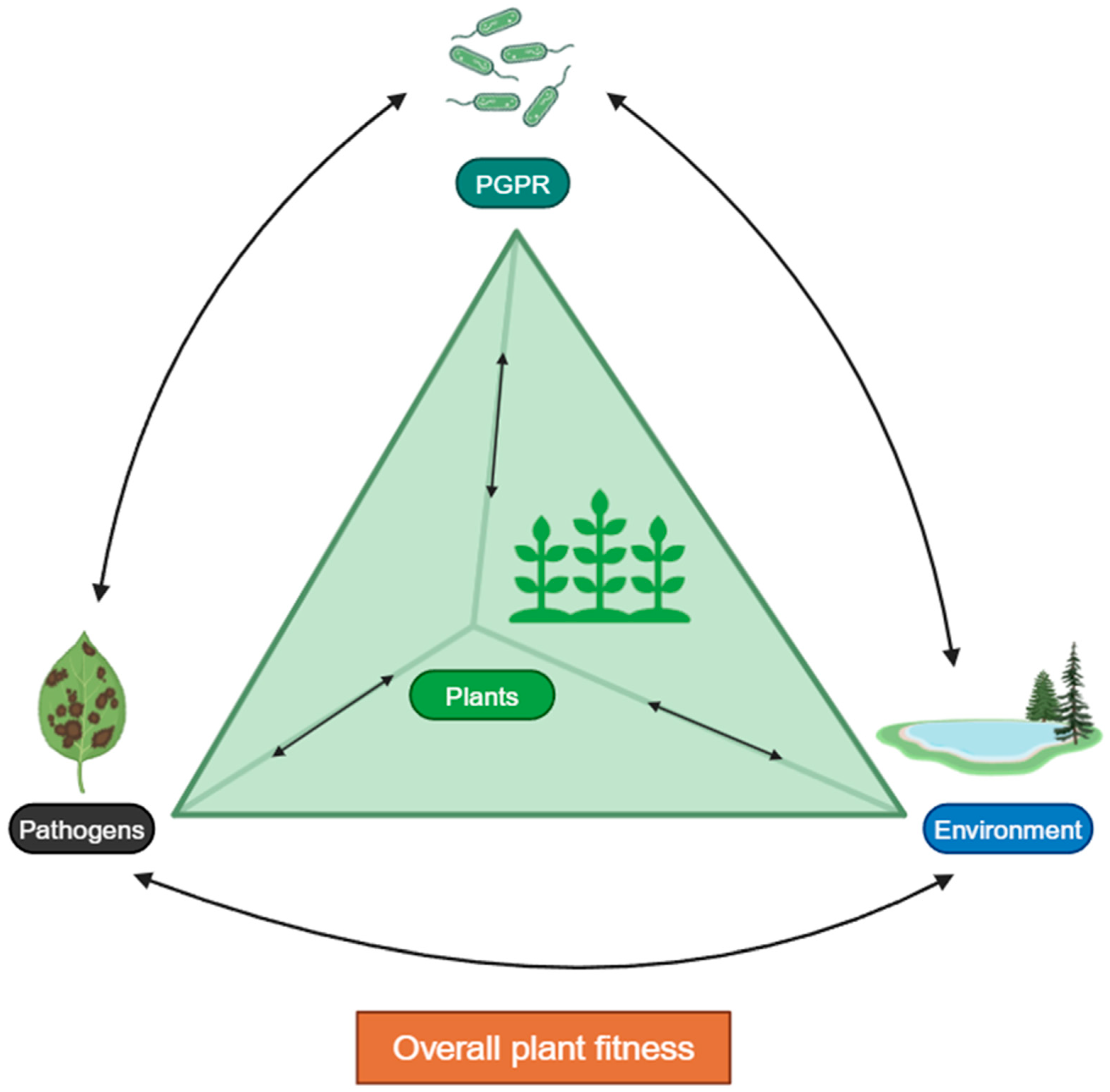 Bacteria 03 00030 g002