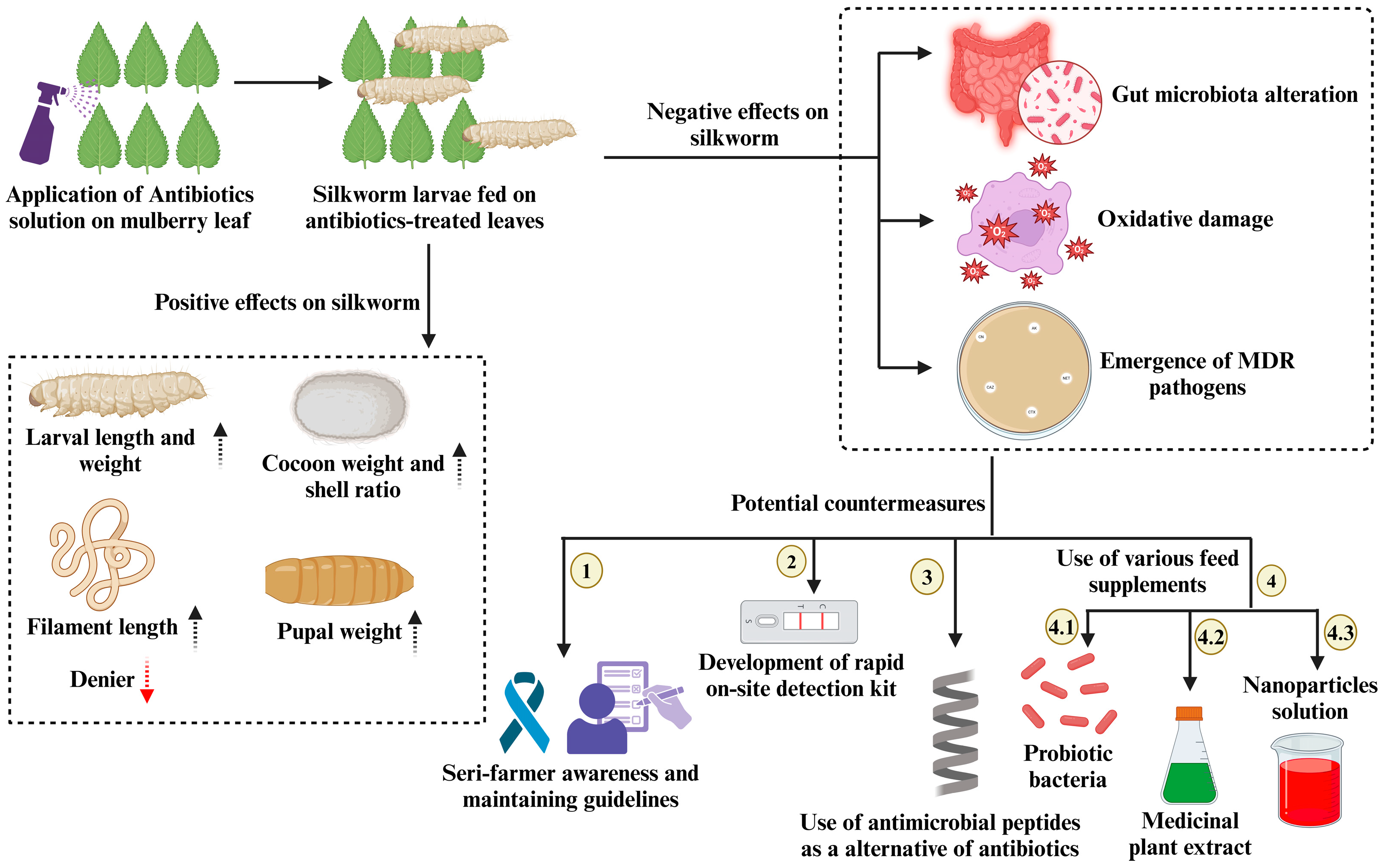Bacteria 04 00002 g001 Bacteria 04 00002 g001