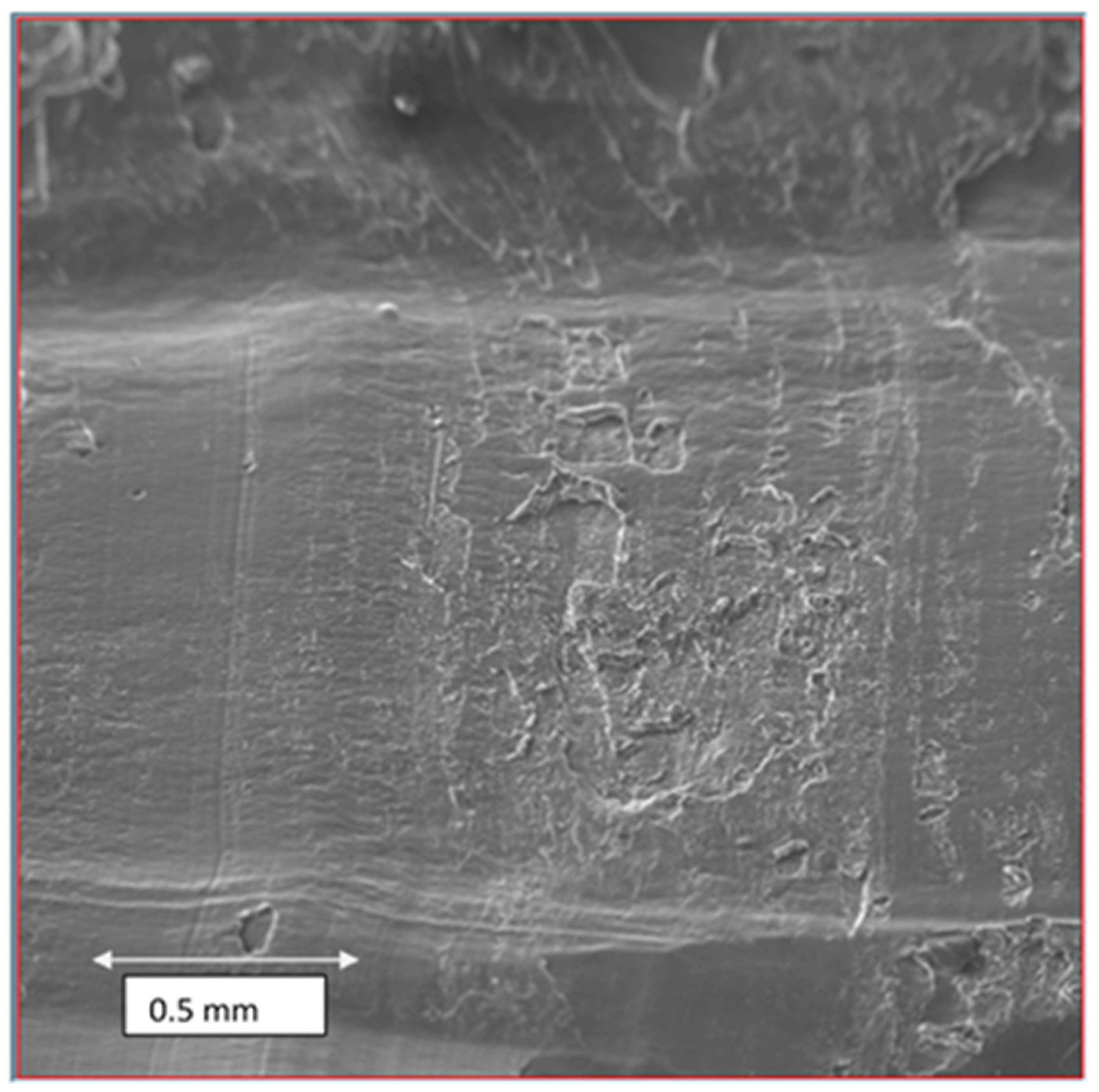 Batteries 08 00024 g005