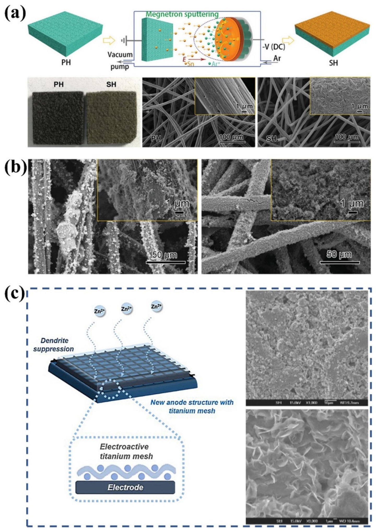 Batteries | Free Full-Text | Toward Dendrite-Free Deposition in 