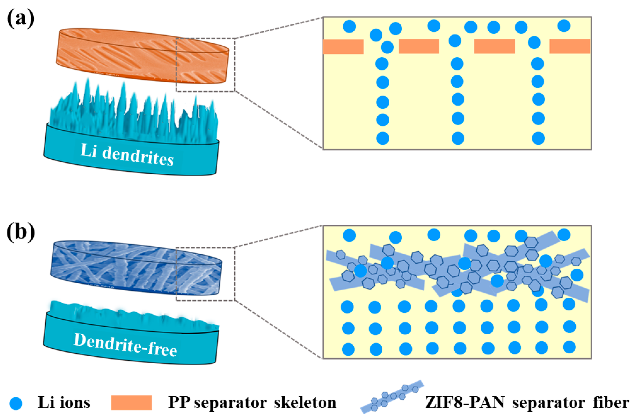 Batteries | Free Full-Text | Ion Transport Regulated Lithium Metal Batteries  Achieved by Electrospun ZIF/PAN Composite Separator with Suitable  Electrolyte Wettability