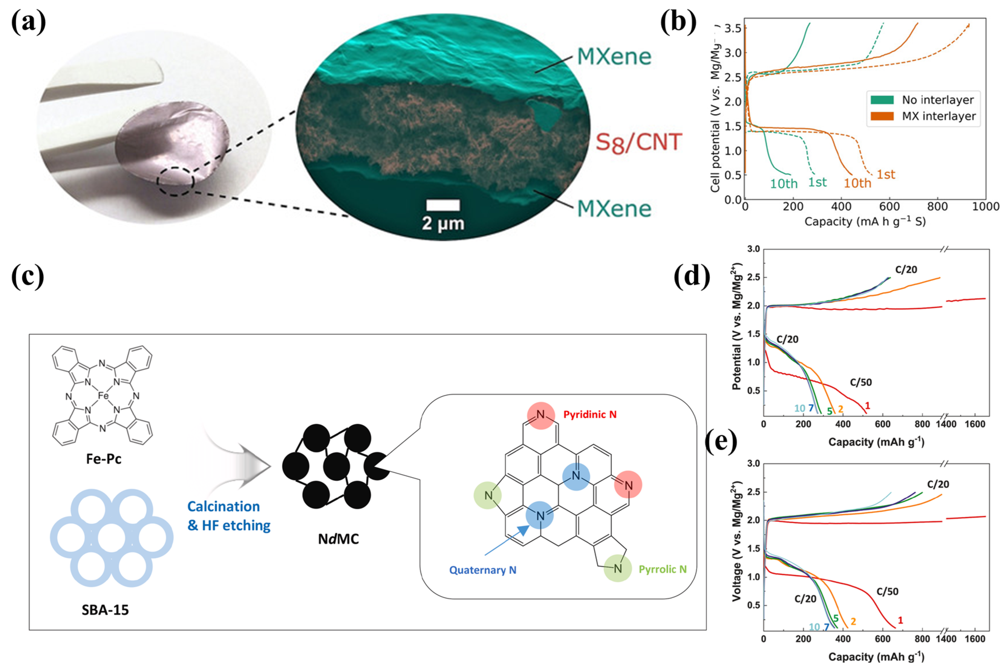 The Key Role of Magnesium Polysulfides in the Development of Mg-S Batteries