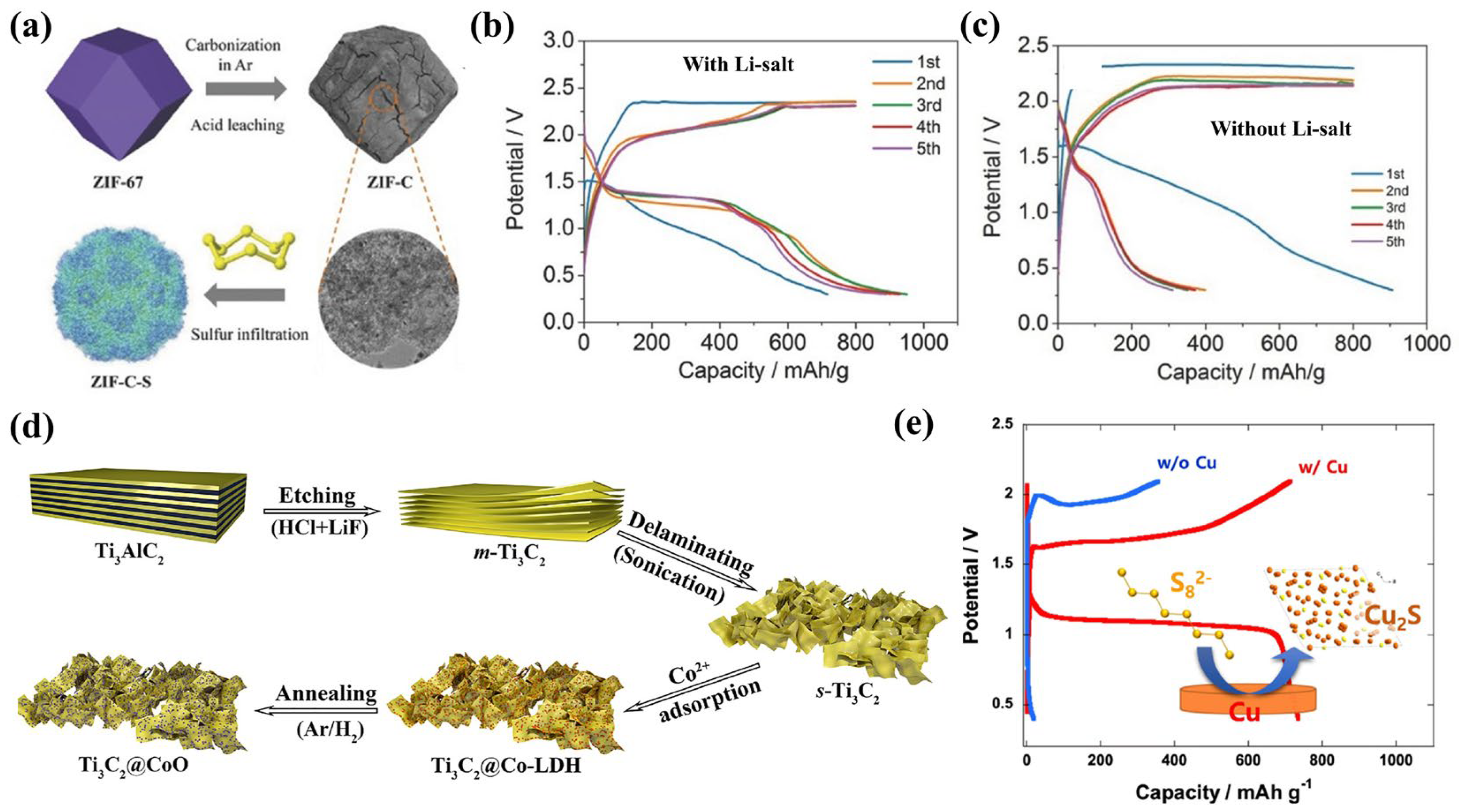 The Key Role of Magnesium Polysulfides in the Development of Mg-S Batteries