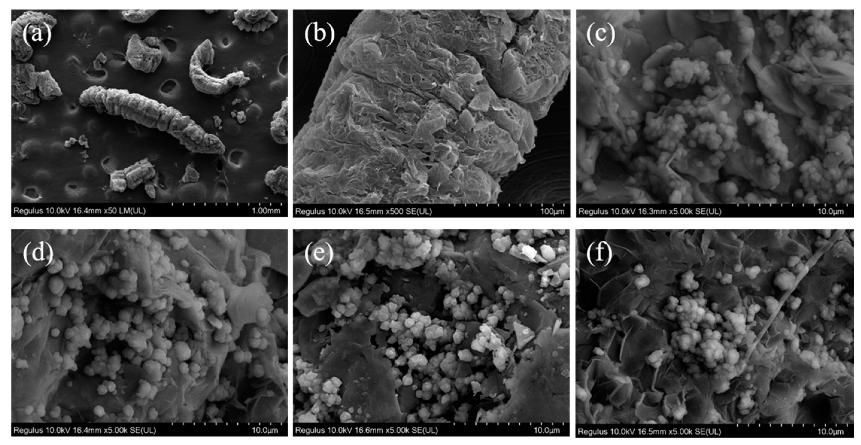 Batteries 09 00378 g005