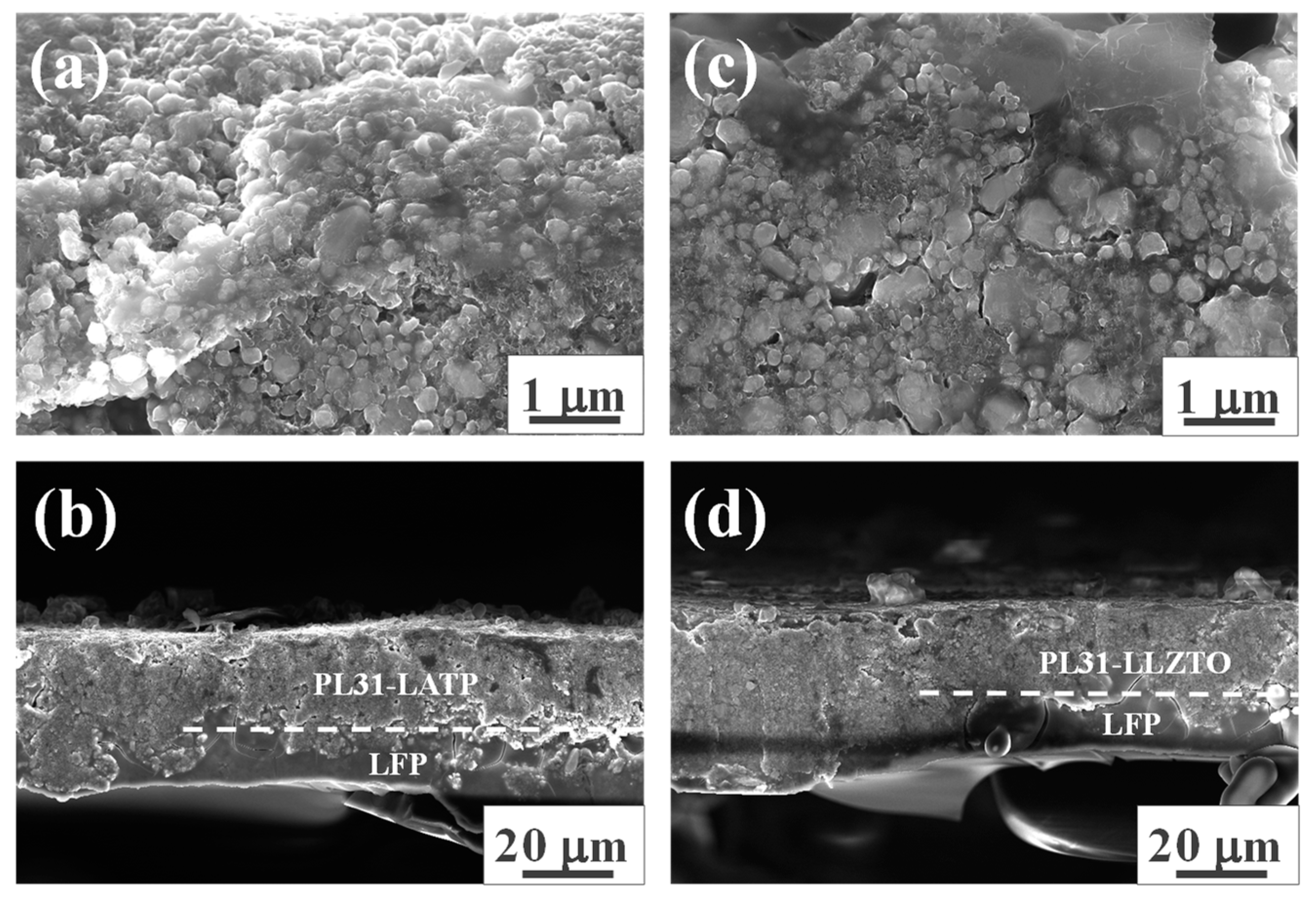 Batteries | Free Full-Text | Solid-State Lithium Batteries with Cathode ...