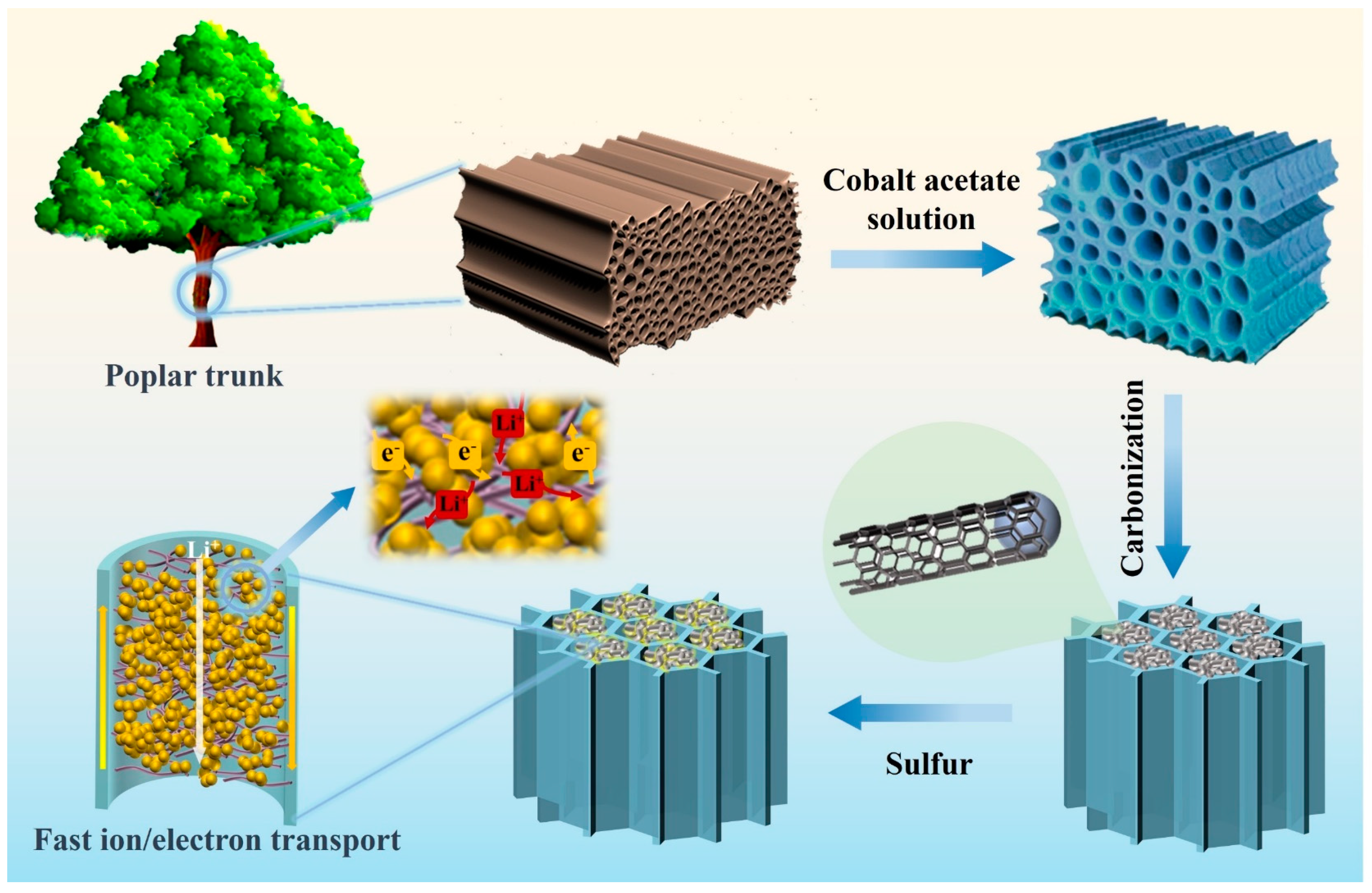 Batteries 09 00594 g001