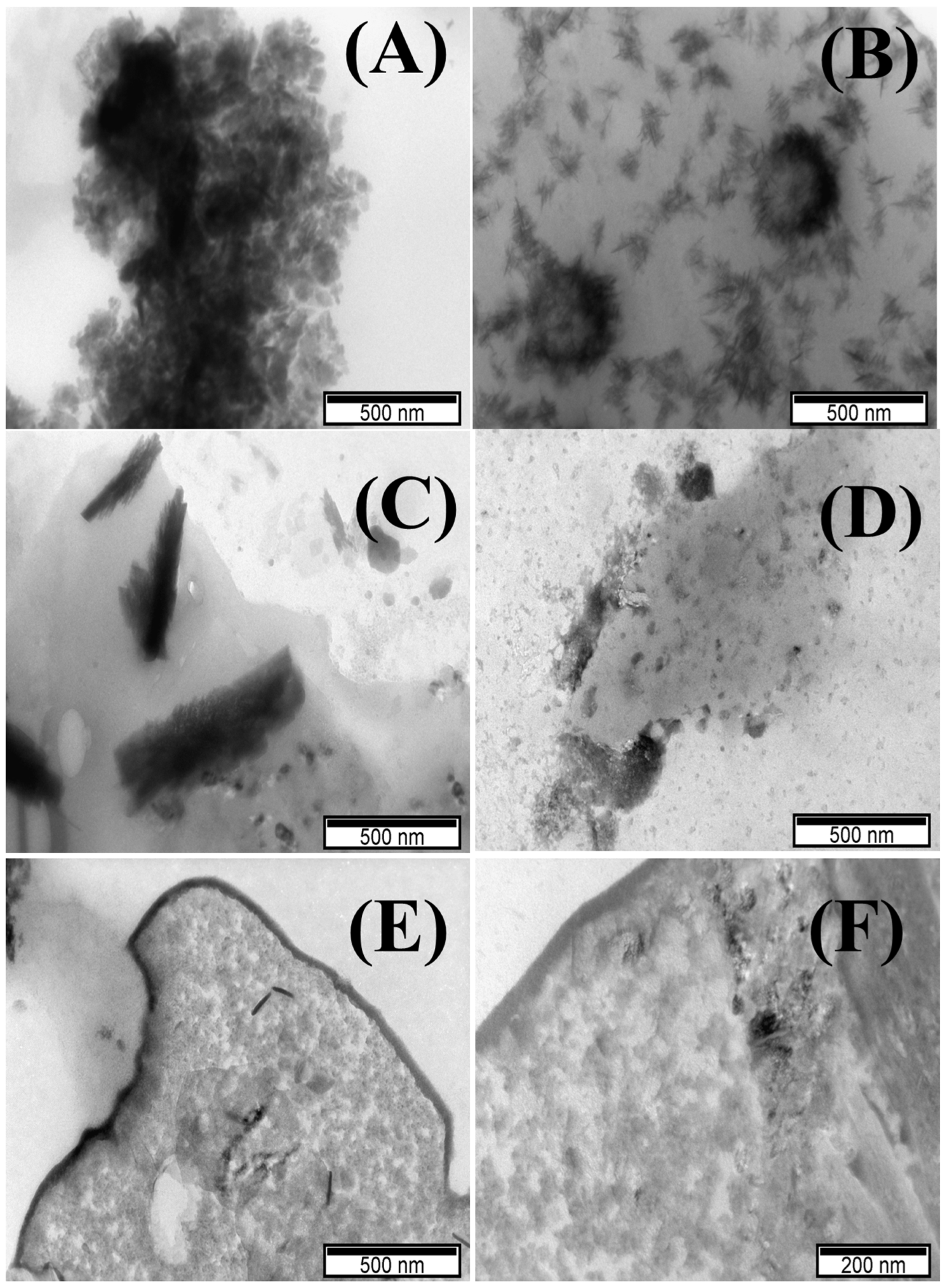 Batteries 10 00197 g002
