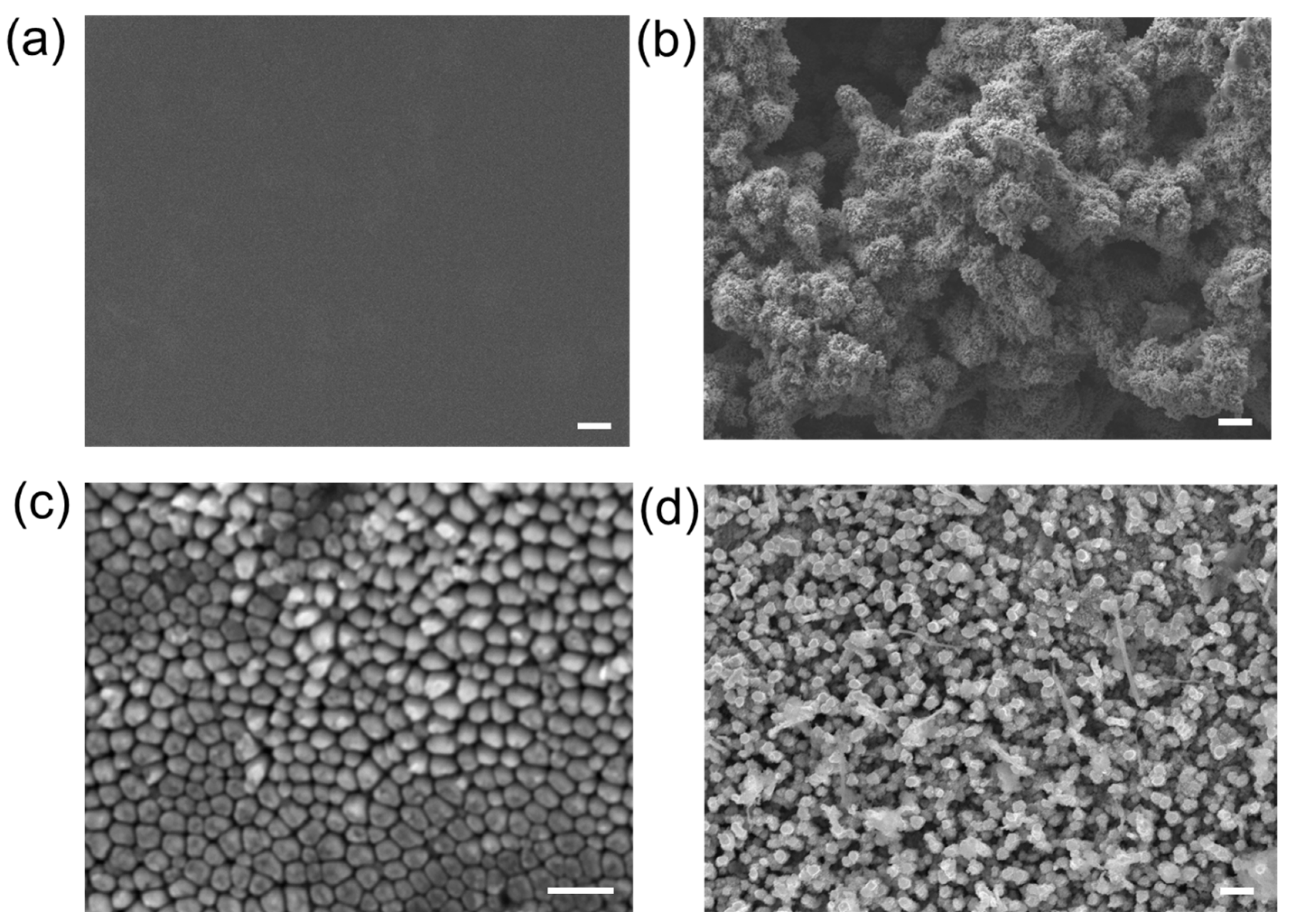 Batteries 10 00225 g007
