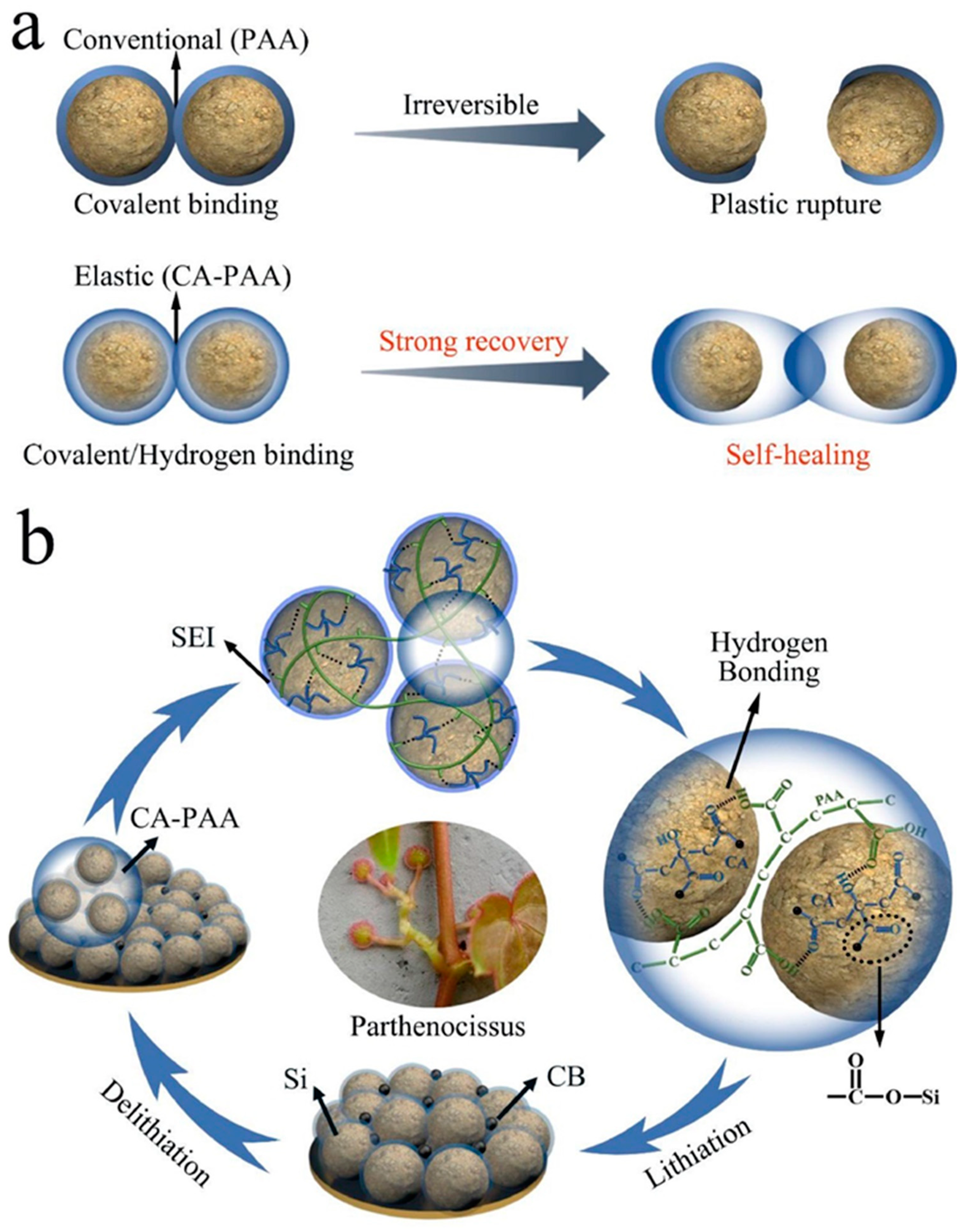 Batteries 10 00268 g010