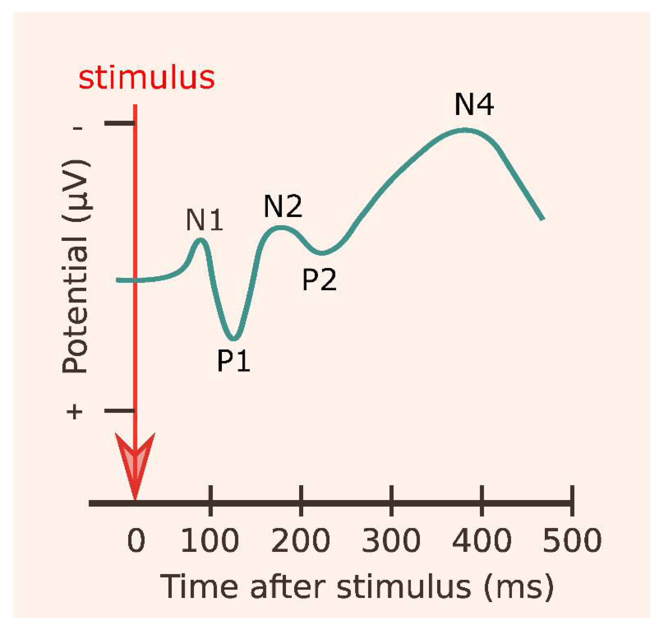 N 400. Event related potential. Event related potential time.