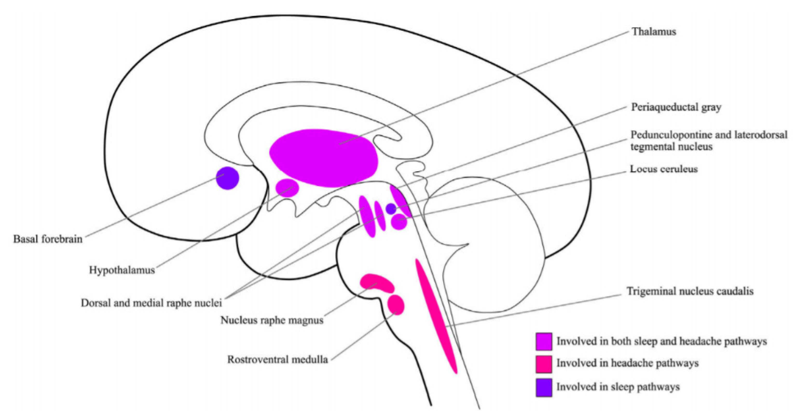 Behavsci 11 00122 g001 Behavsci 11 00122 g001