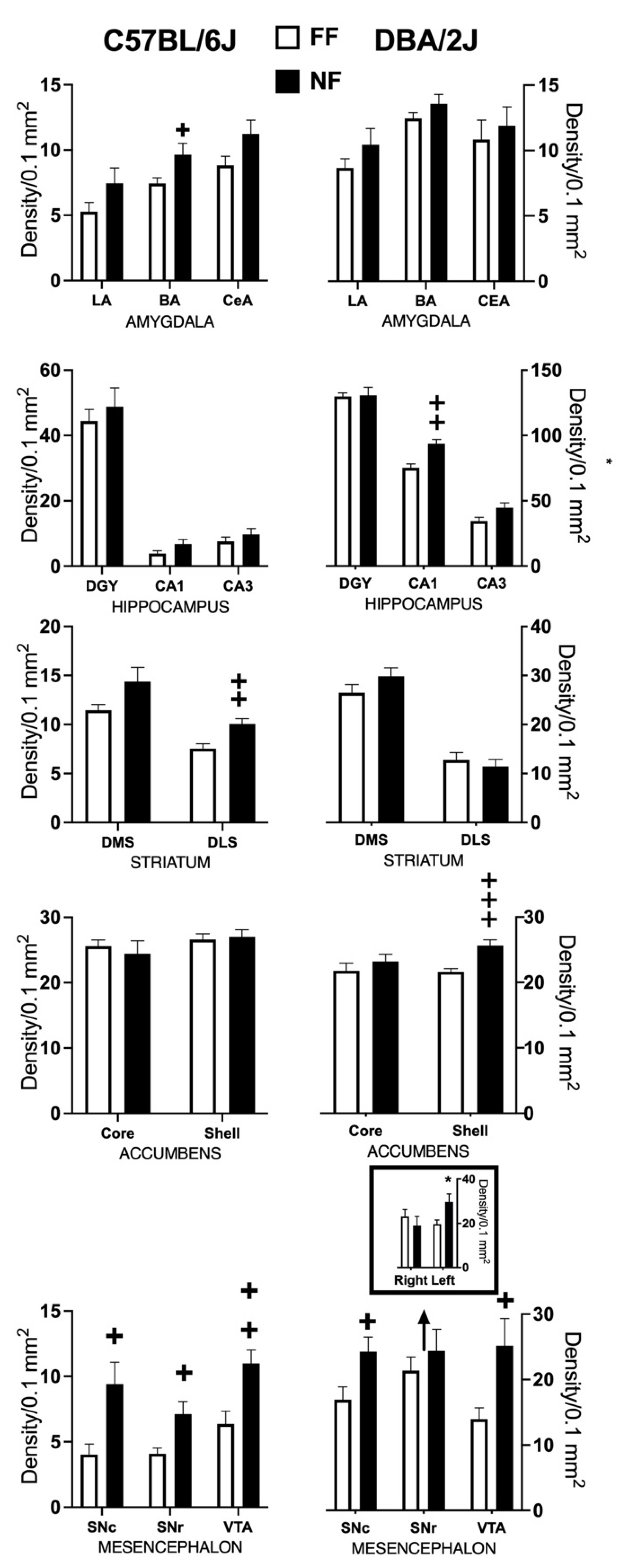 Behavsci 11 00174 g005 Behavsci 11 00174 g005