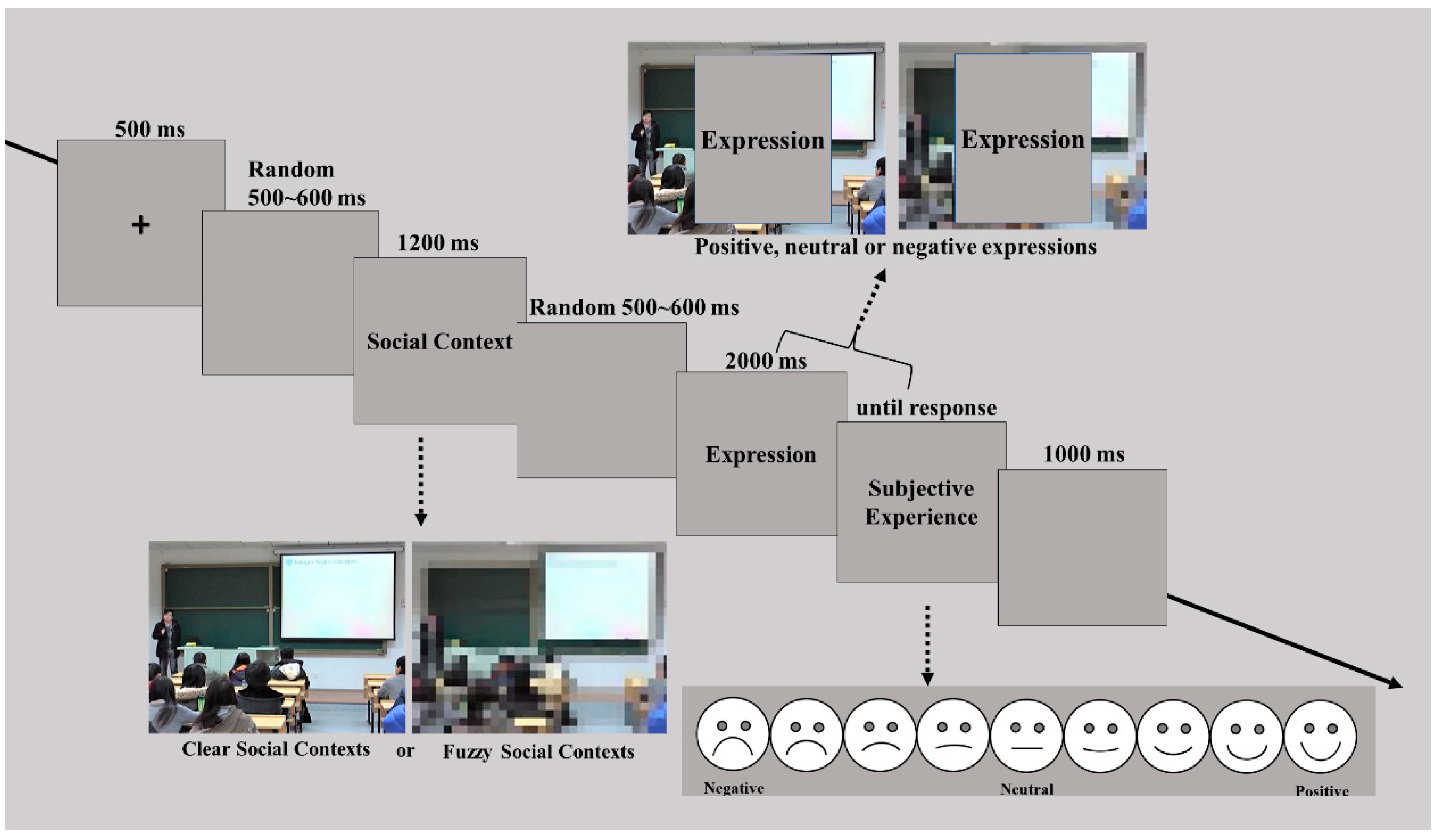 Behavioral Sciences Free Full Text Kick Cat Effect Social Context