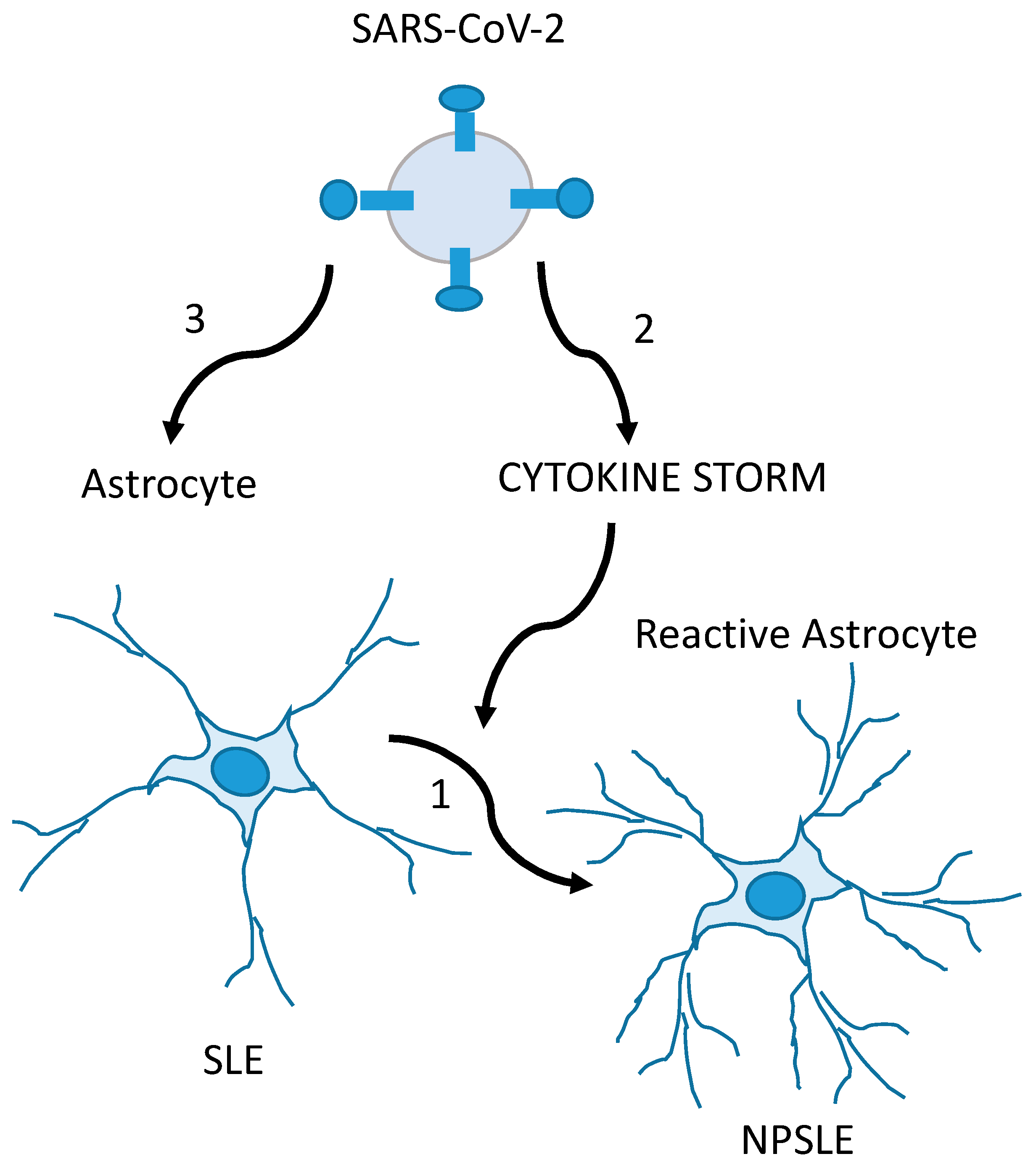 Behavsci 13 00776 g003