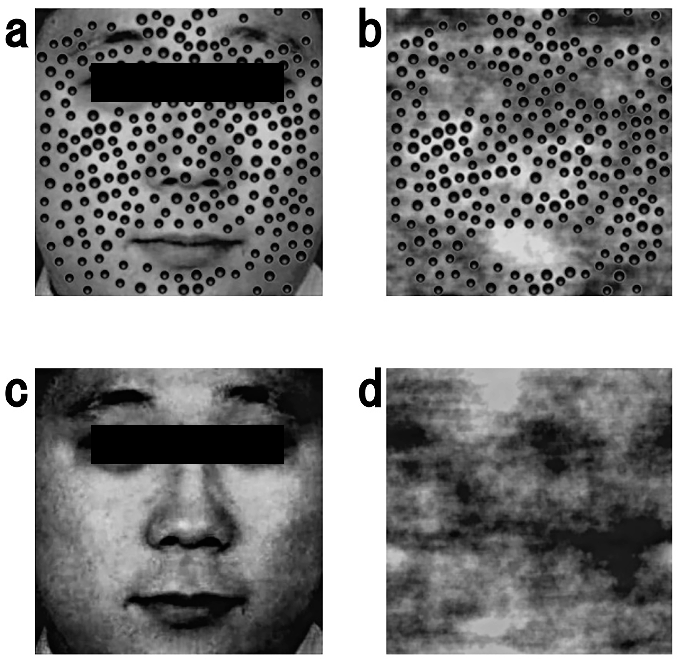 behavioral-sciences-free-full-text-pupillary-responses-to-dot