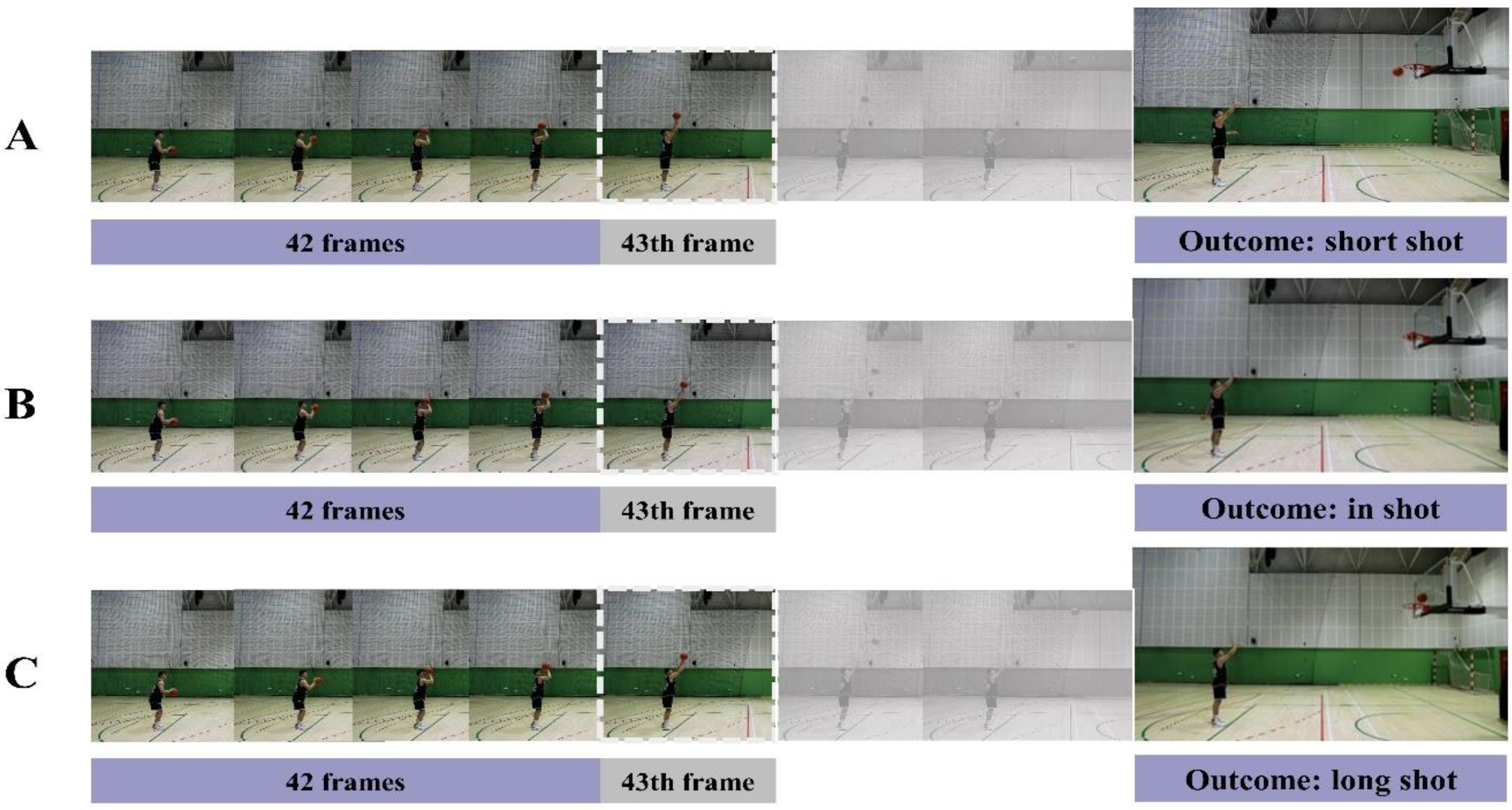 Behavsci 14 00423 g001