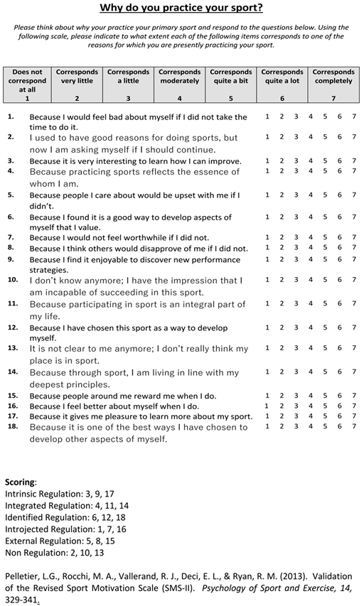 Behavsci 14 00515 i004 Behavsci 14 00515 i004