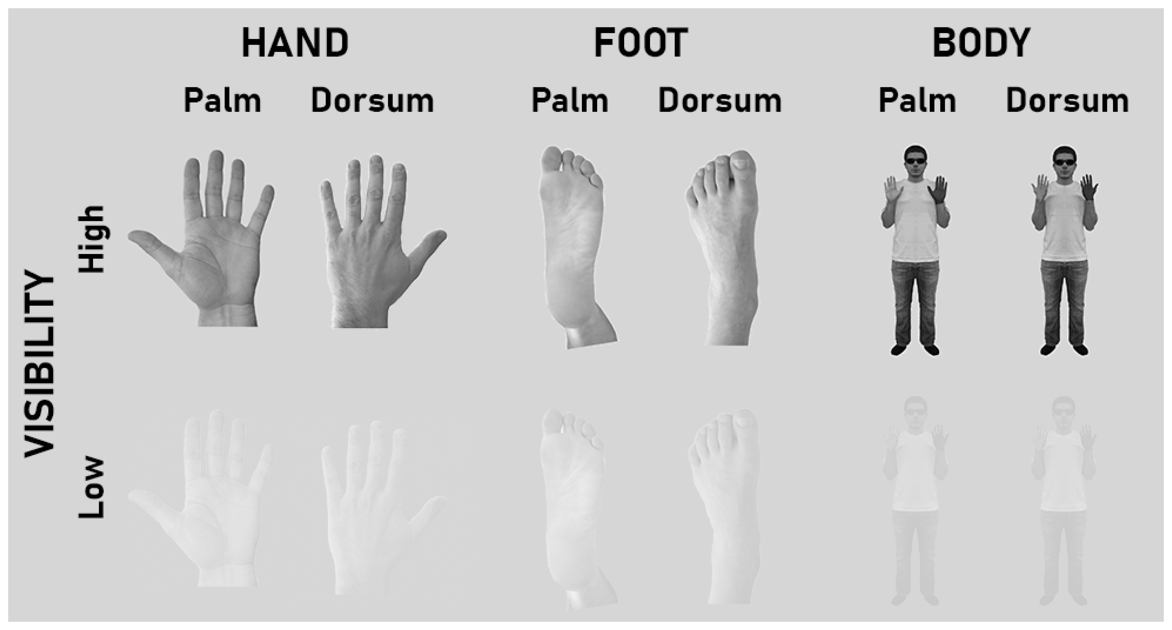 Behavsci 14 00784 g001