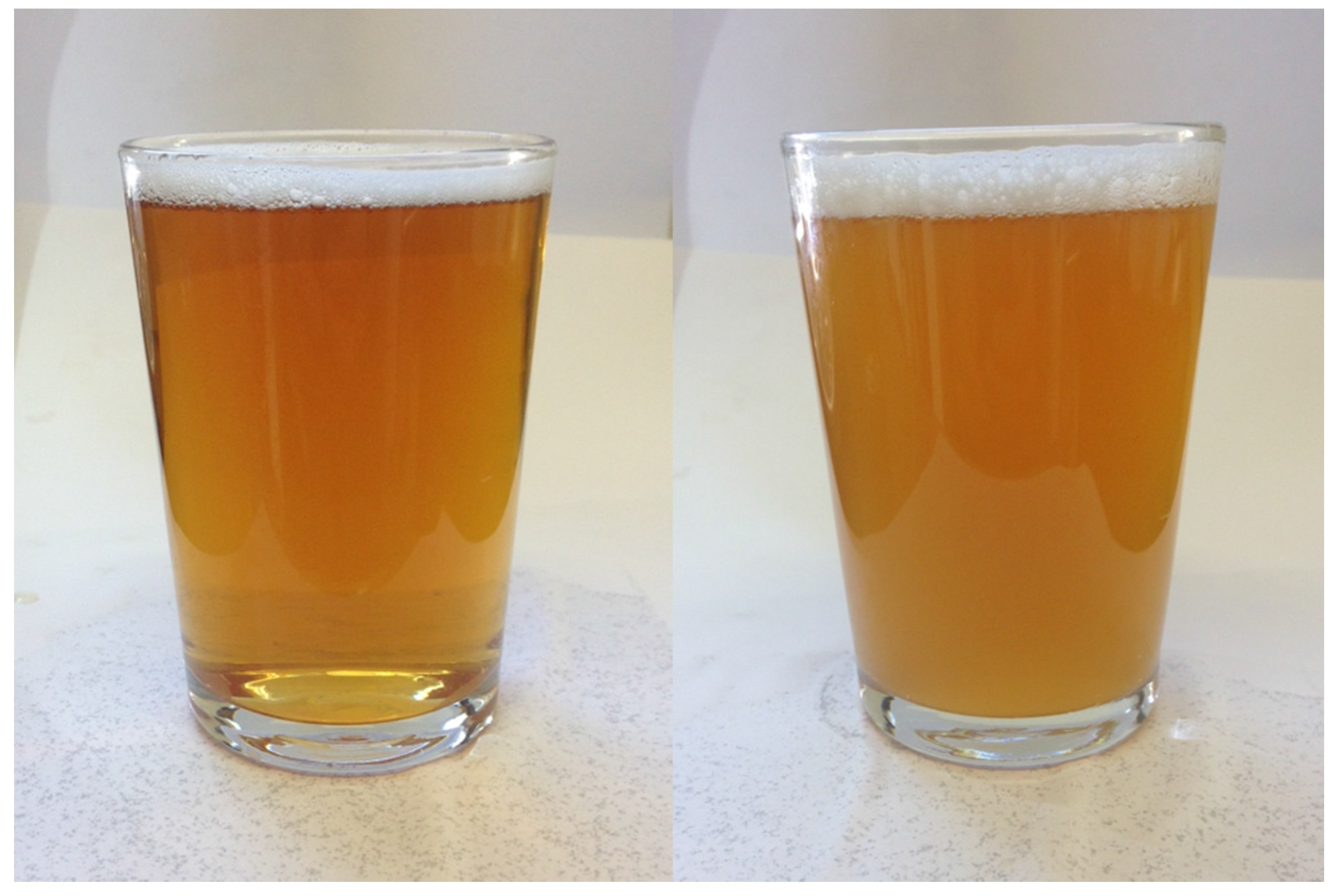 Beverages | Free Full-Text | Assessing the Impact of Finings on the  Perception of Beer