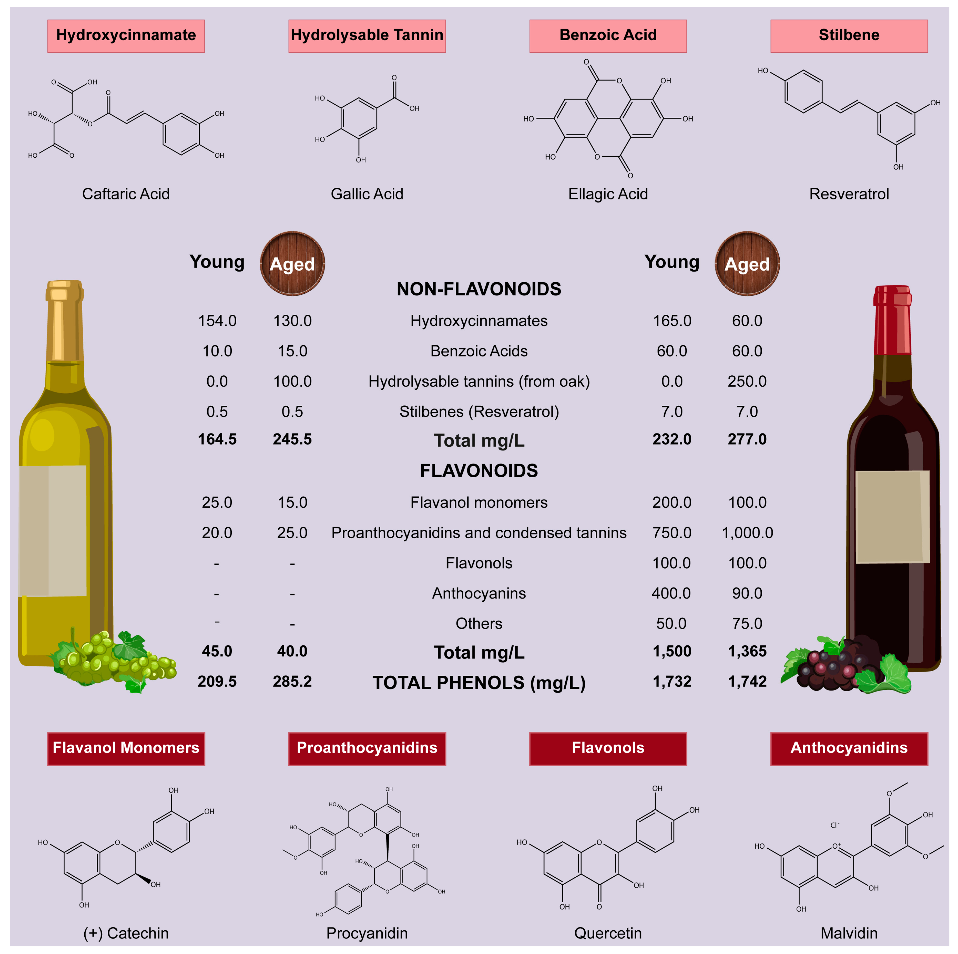 Beverages | Free Full-Text | Wine Polyphenols and Neurodegenerative  Diseases: An Update on the Molecular Mechanisms Underpinning Their  Protective Effects