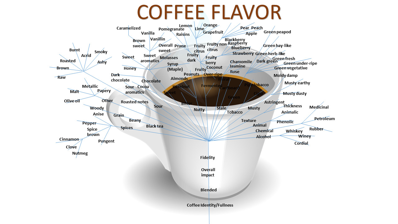 Beverages | Free Full-Text | Coffee Flavor: A Review | HTML
