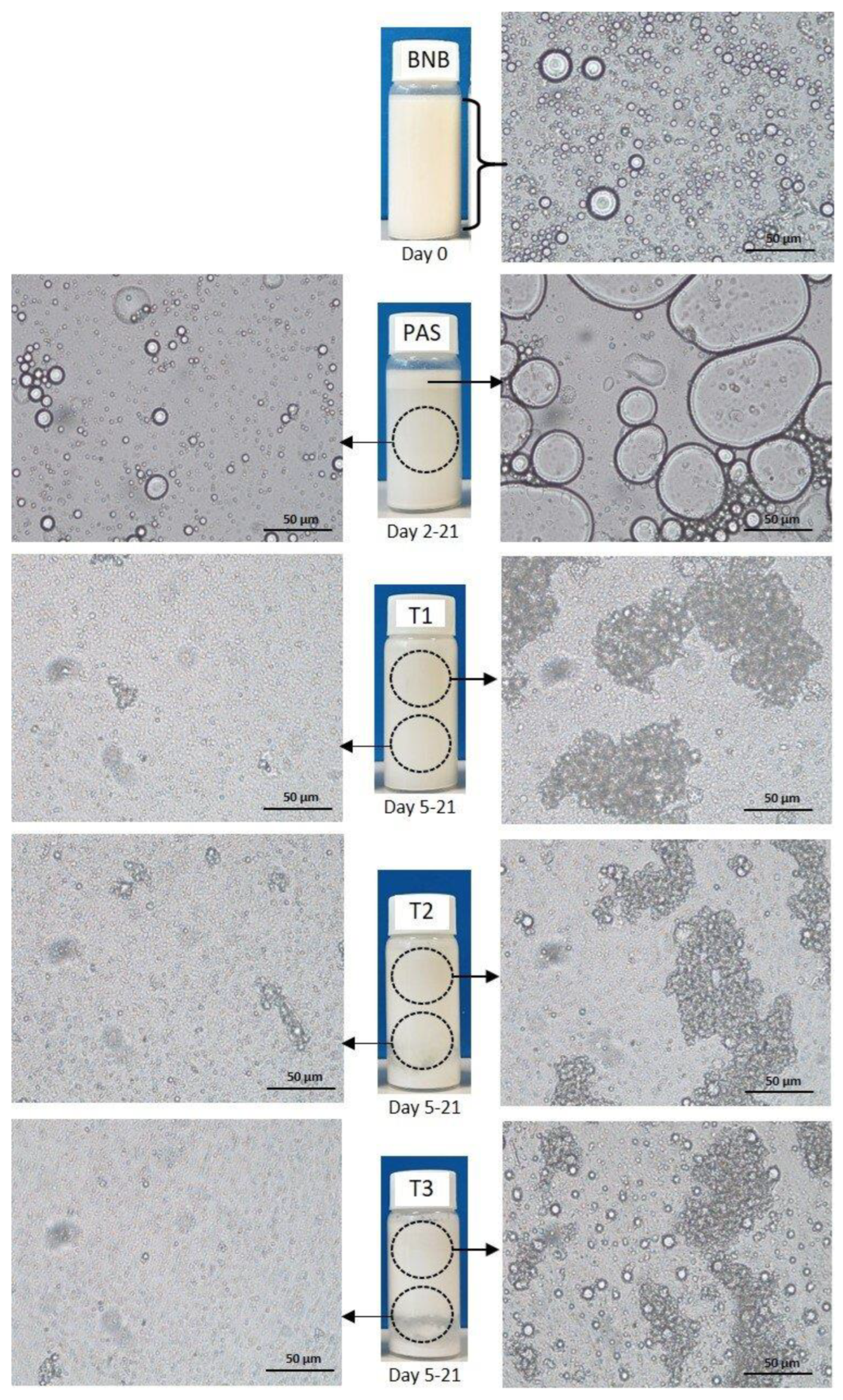 Beverages 09 00022 g005 Beverages 09 00022 g005