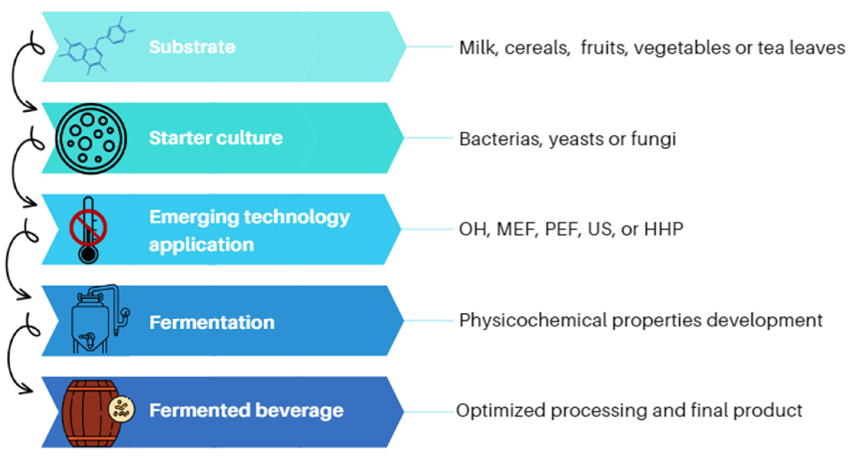 Beverages | Free Full-Text | Recent Trends In Fermented Beverages ...