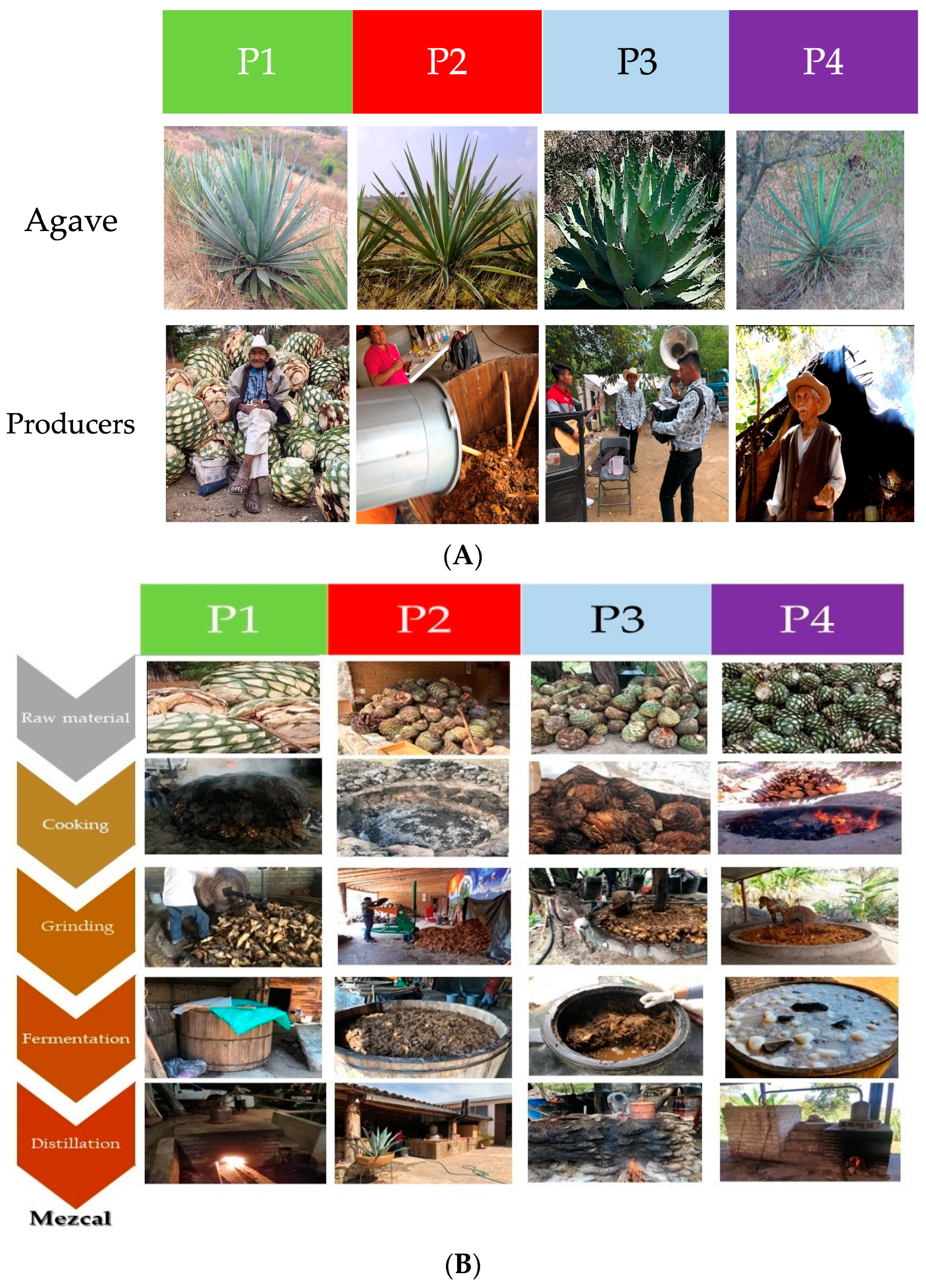 Beverages 09 00099 g002