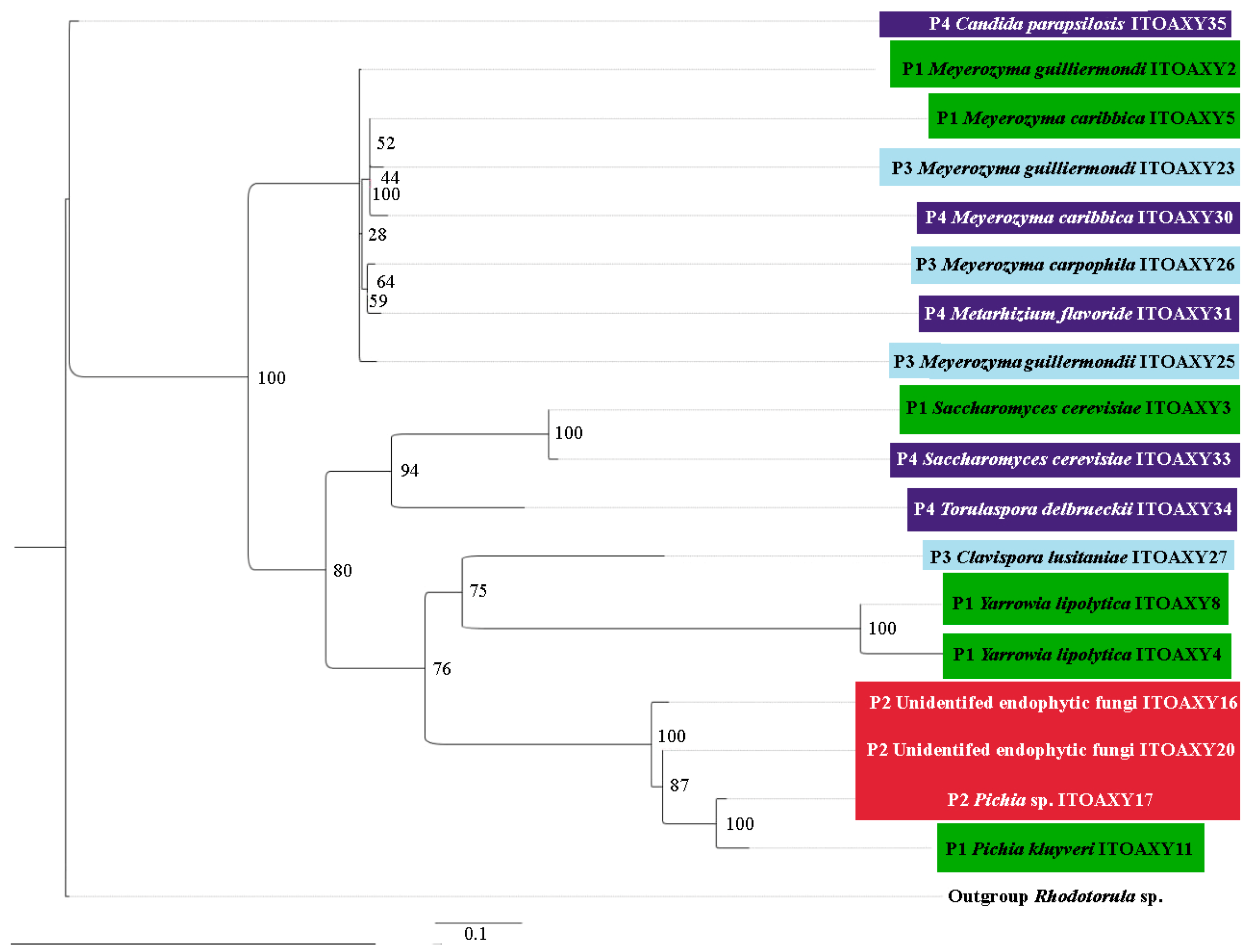 Beverages 09 00099 g003