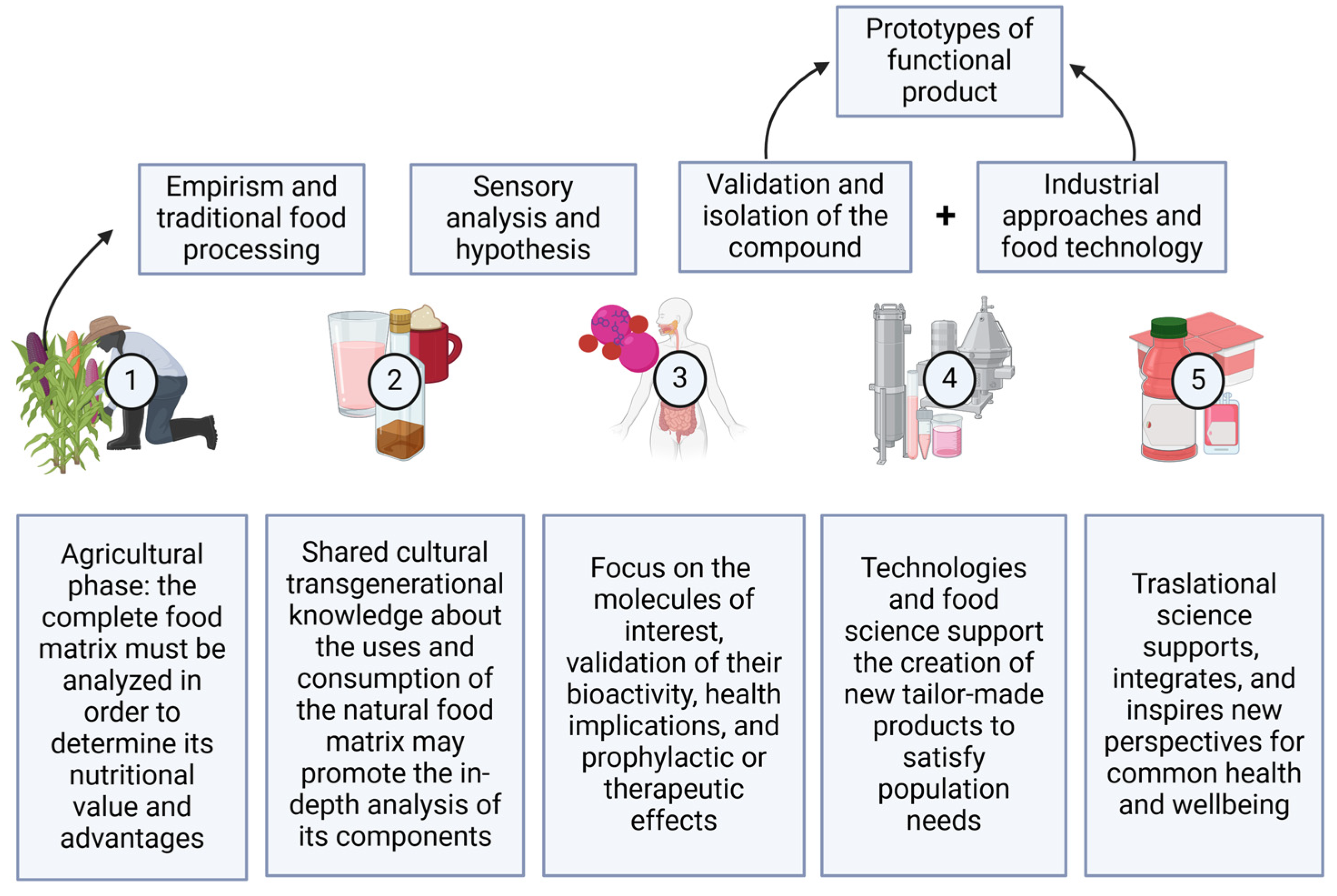 Beverages 10 00069 g001 Beverages 10 00069 g001