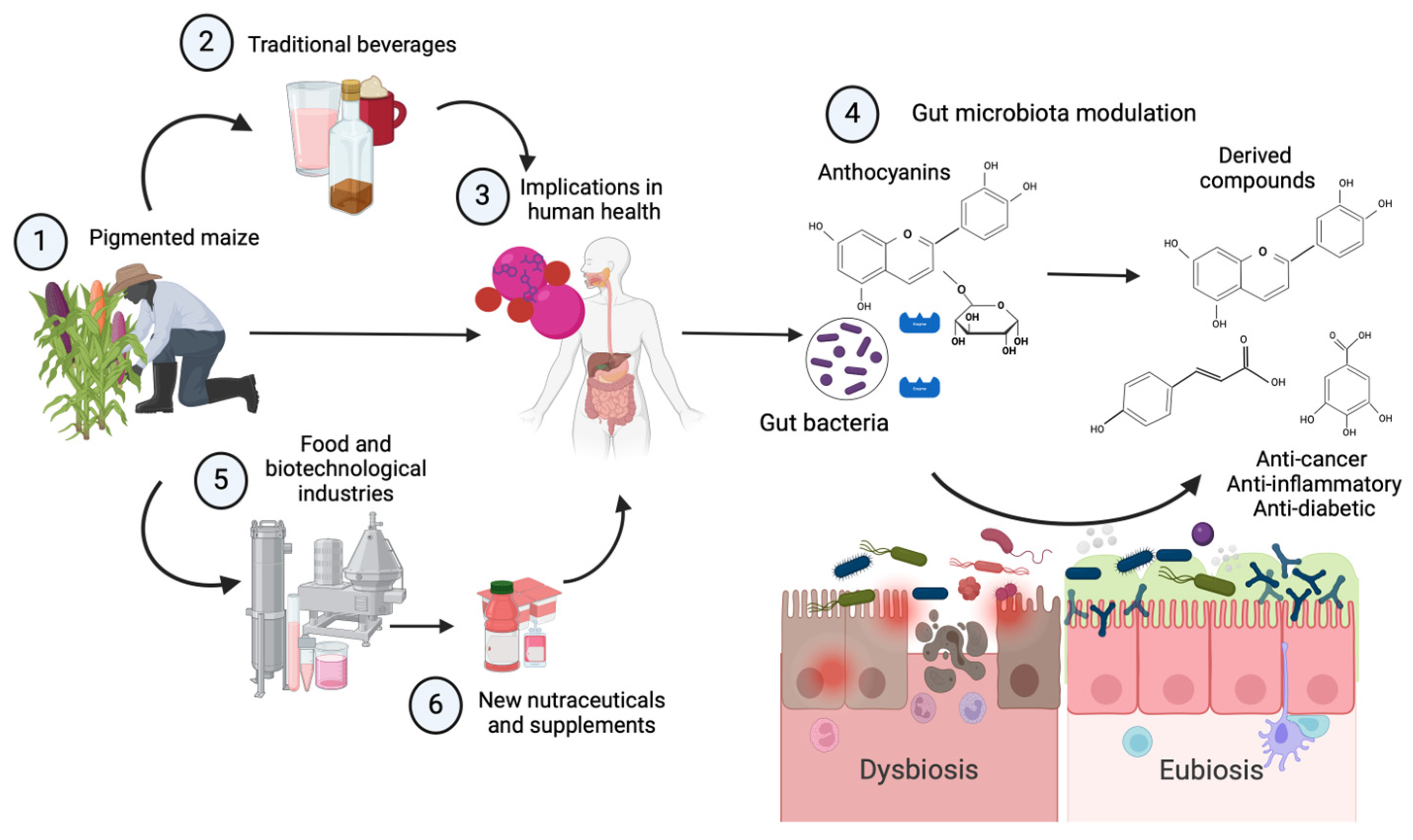 Beverages 10 00069 g002 Beverages 10 00069 g002
