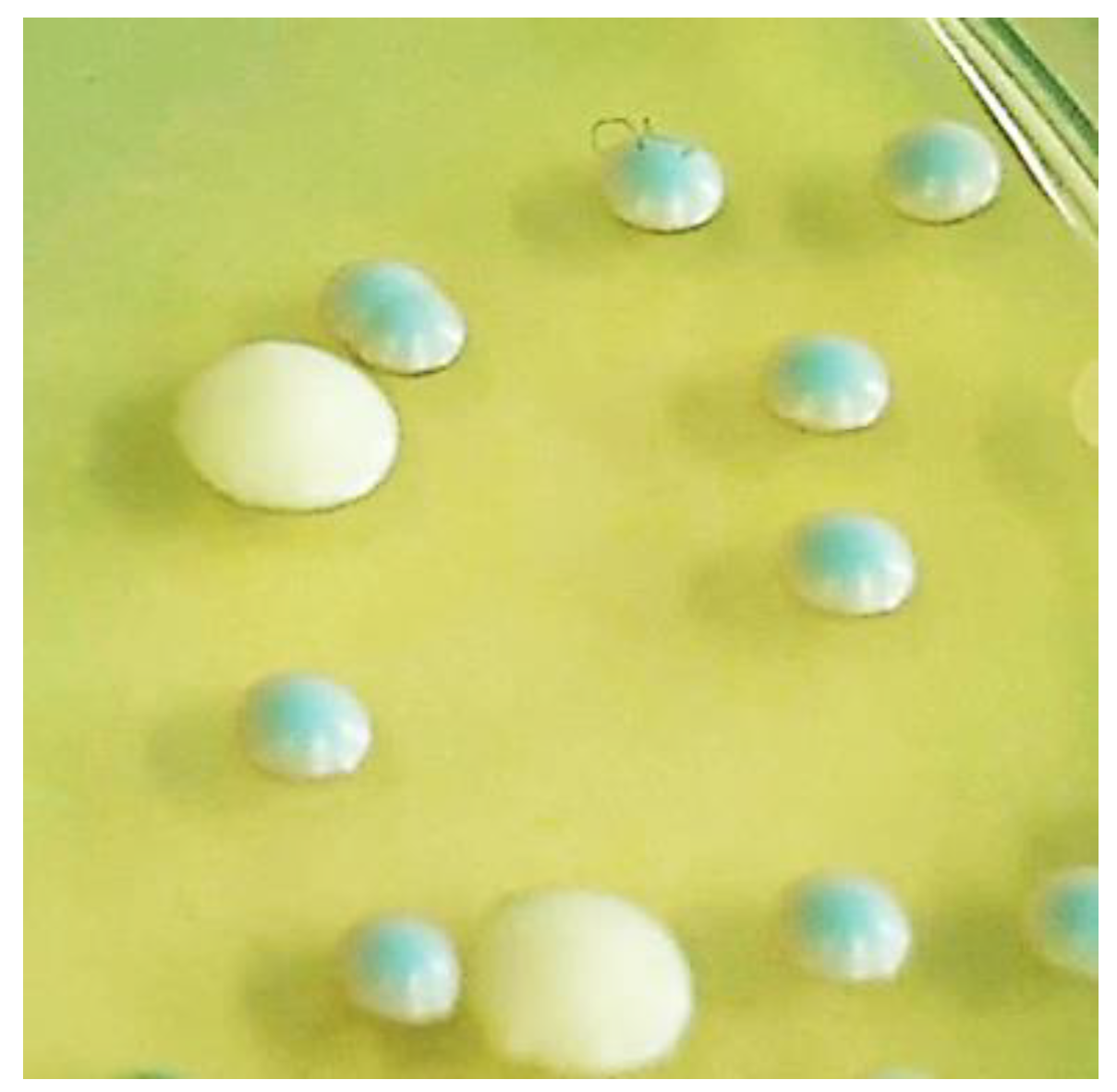 Beverages 10 00088 g002