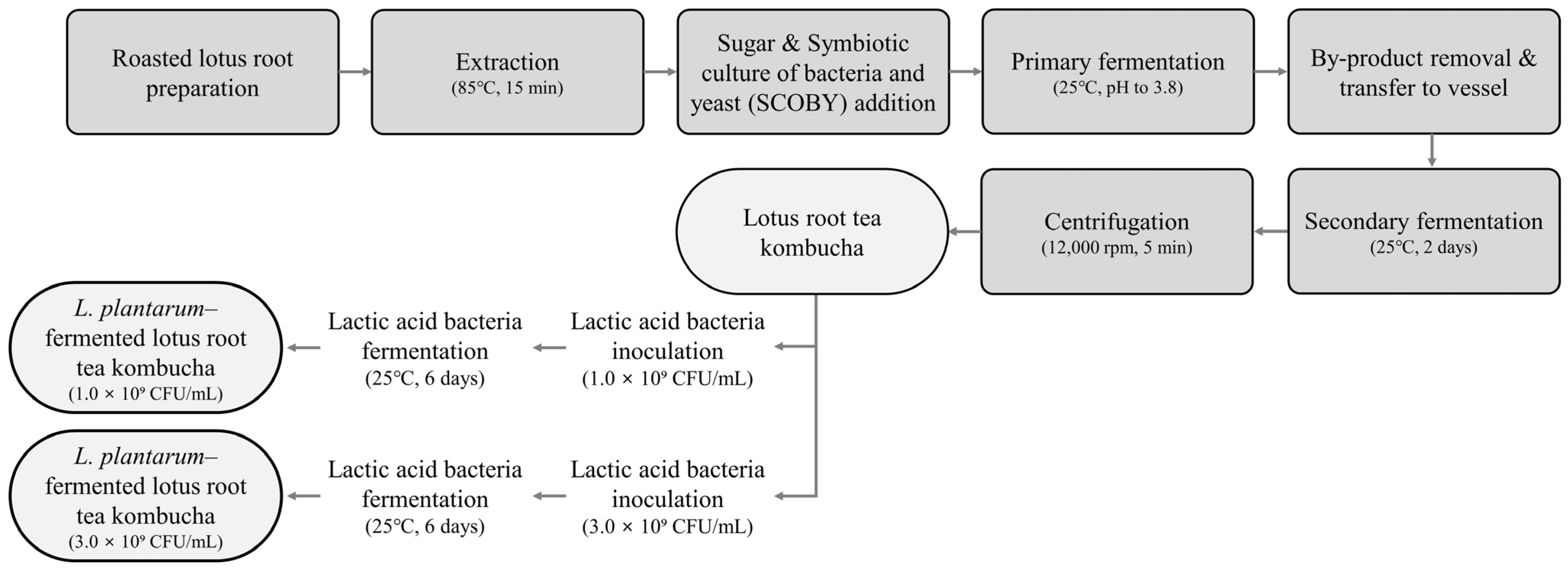 Beverages 11 00055 g001 Beverages 11 00055 g001