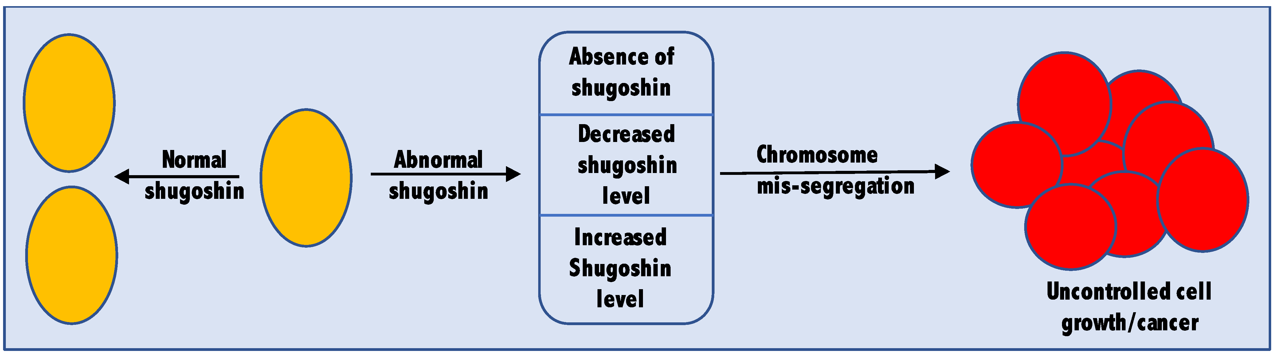 Biochem 01 00006 g002 Biochem 01 00006 g002