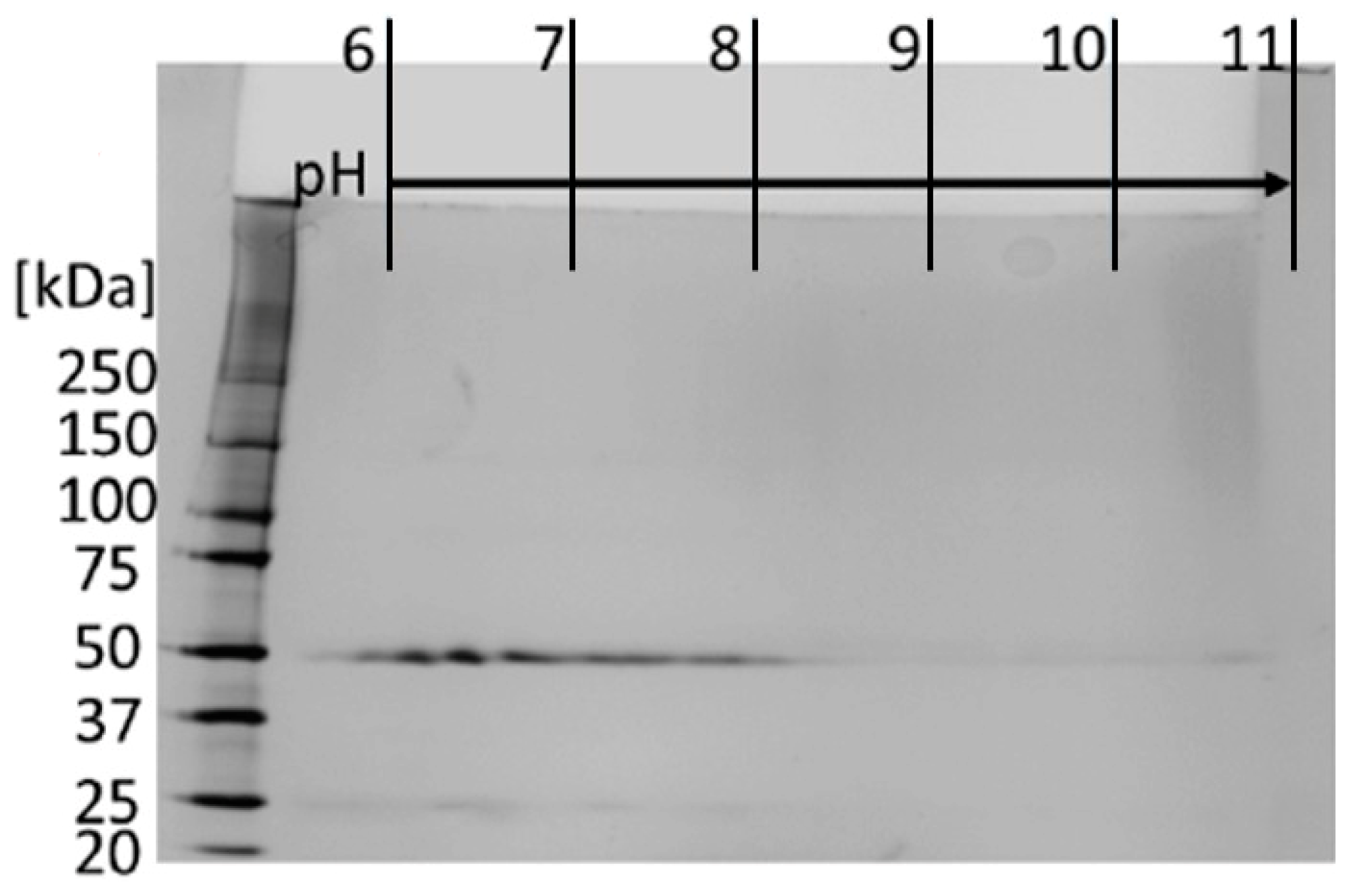 Biochem 01 00008 g003 Biochem 01 00008 g003
