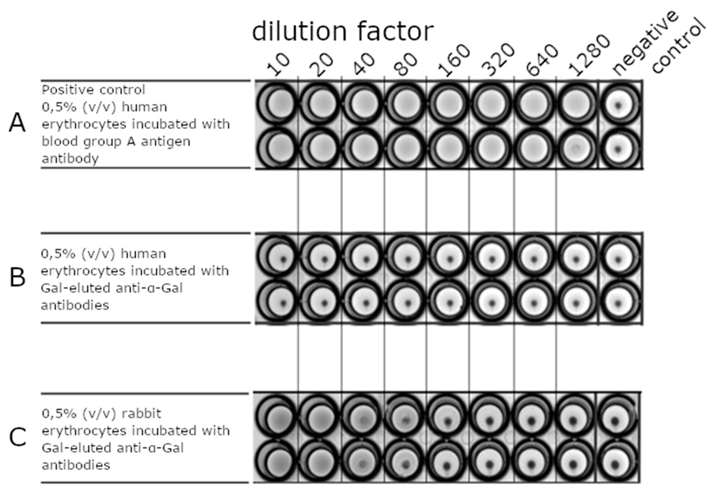 Biochem 01 00008 g005 Biochem 01 00008 g005