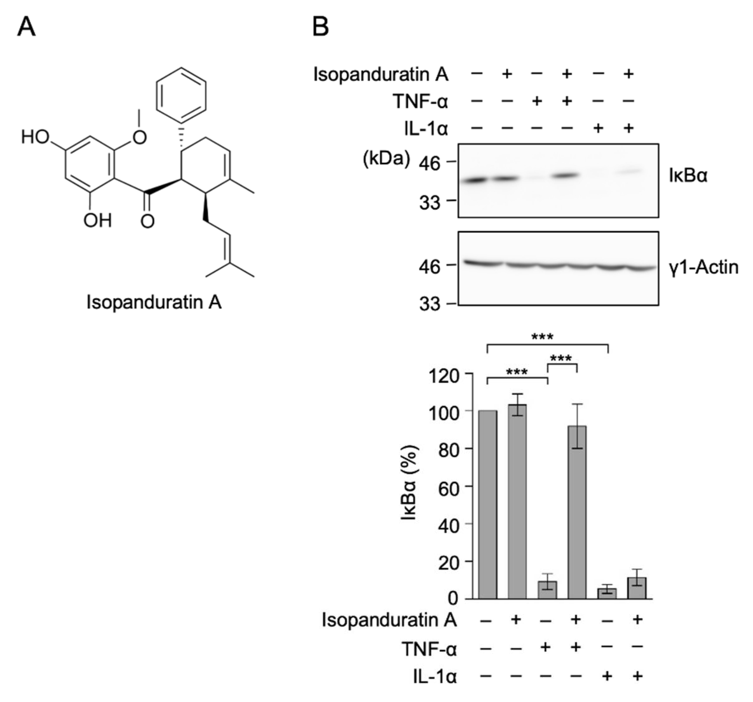 Biochem 01 00014 g001