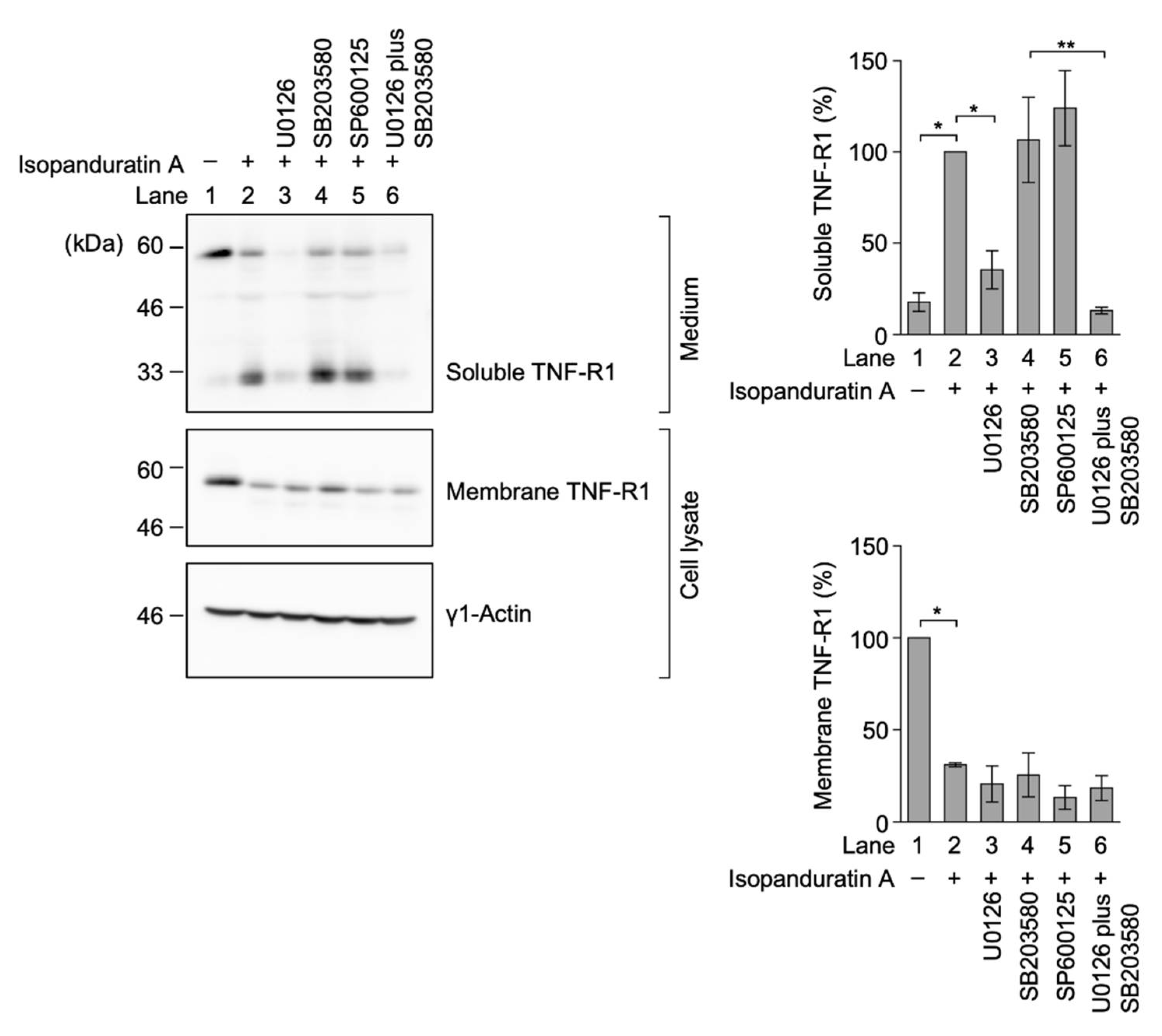 Biochem 01 00014 g006