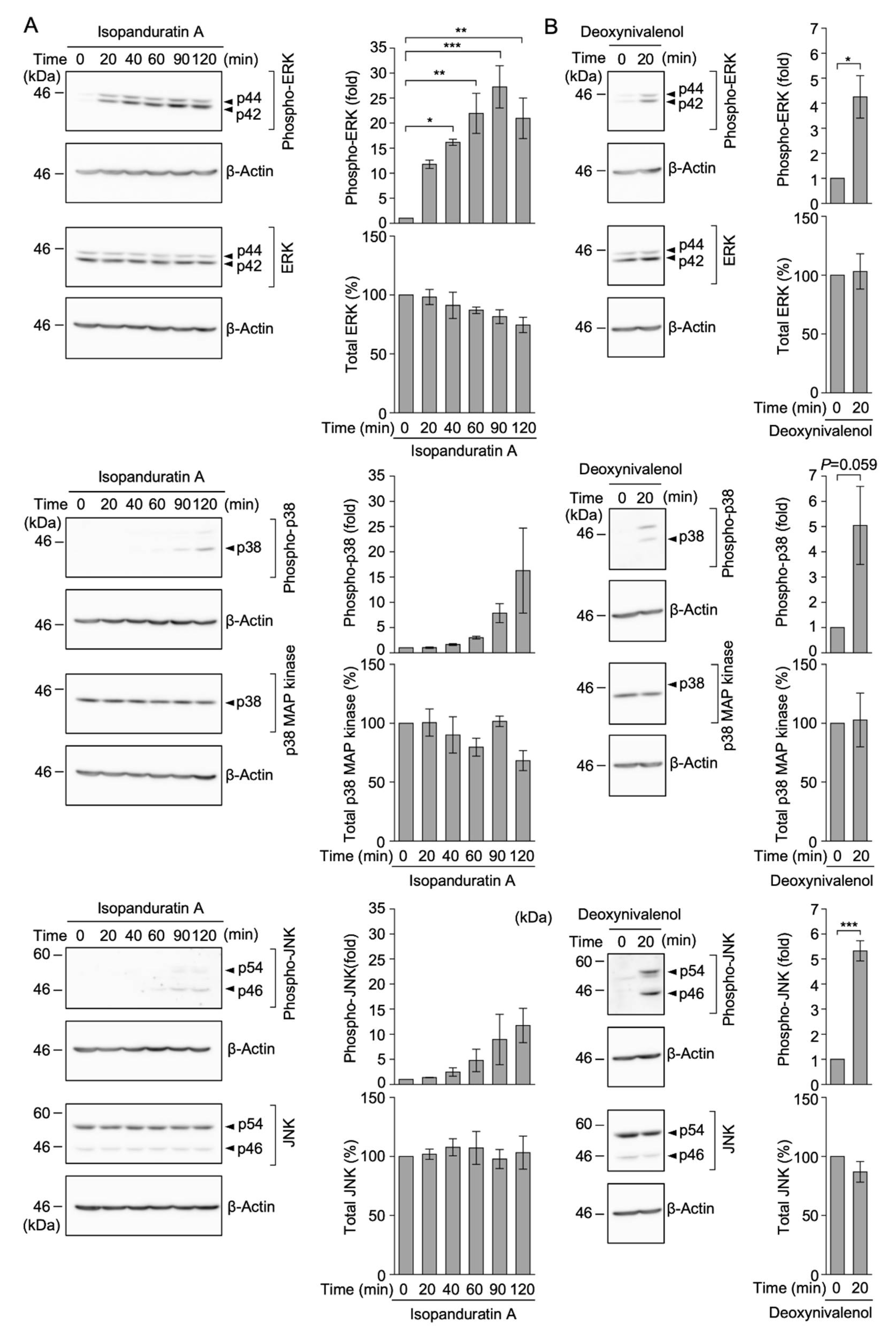 Biochem 01 00014 g007