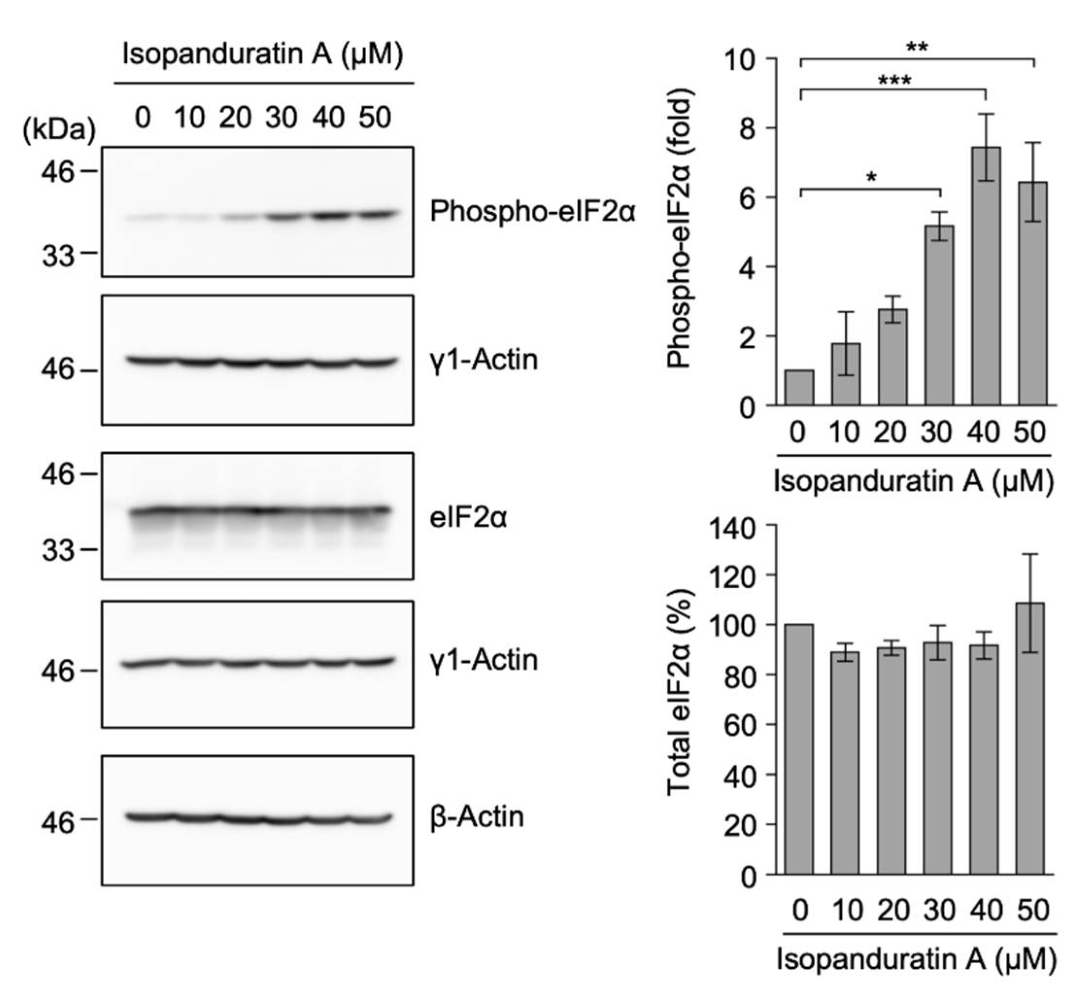 Biochem 01 00014 g009