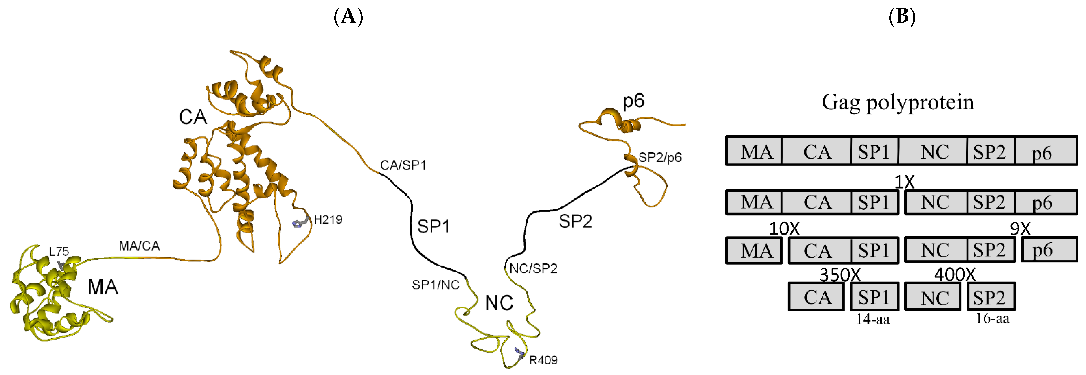 Biochem 01 00015 g002