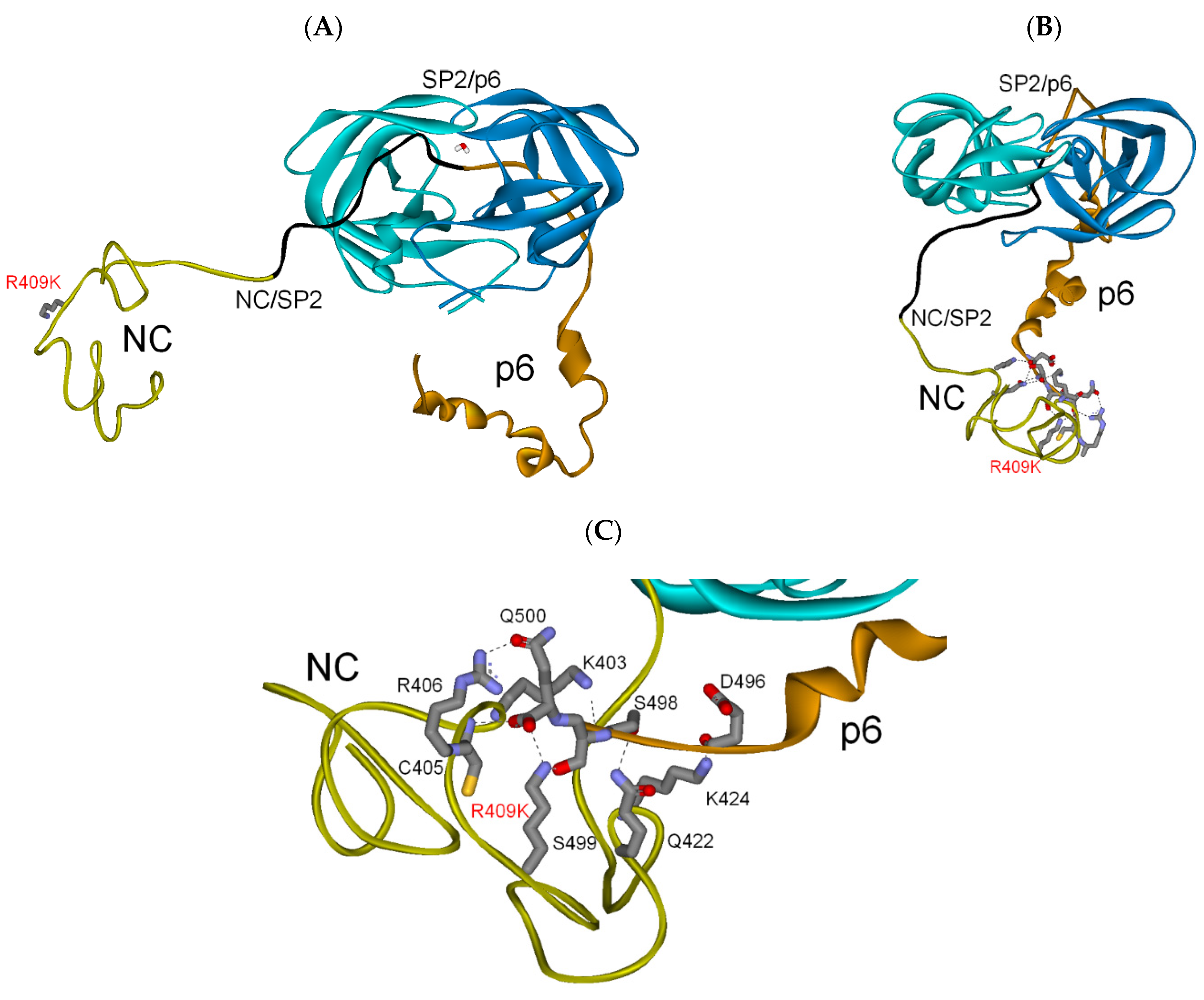 Biochem 01 00015 g004