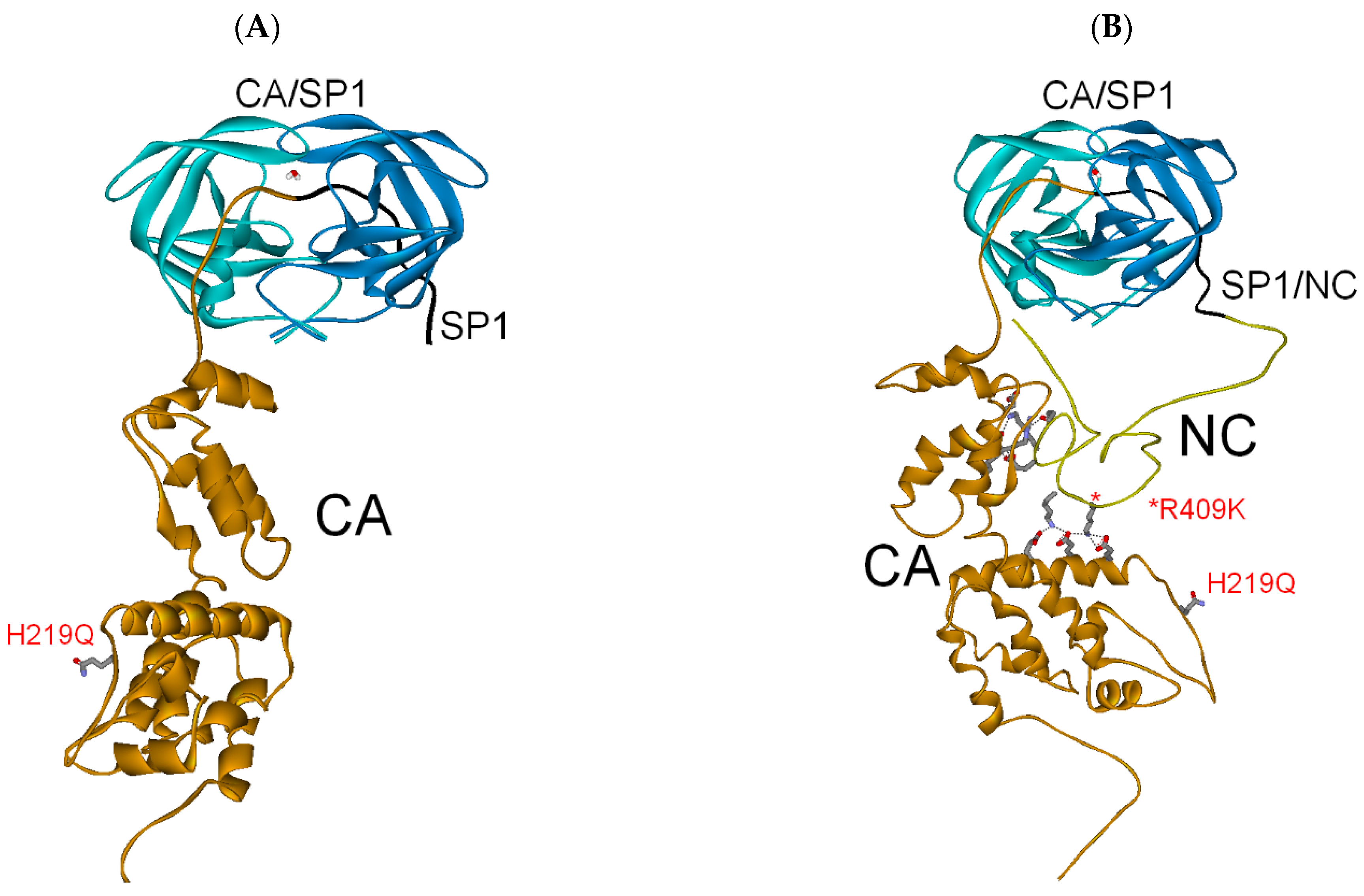 Biochem 01 00015 g007
