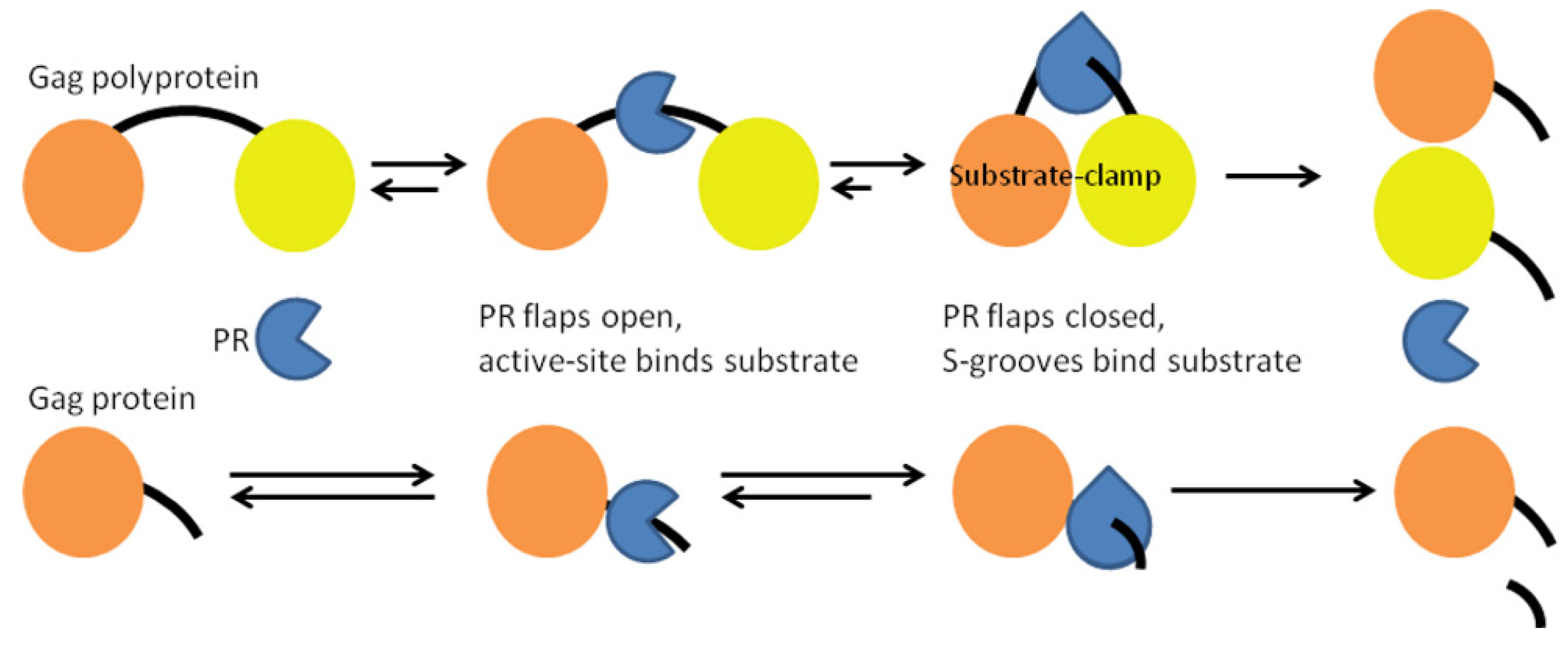 Biochem 01 00015 g009