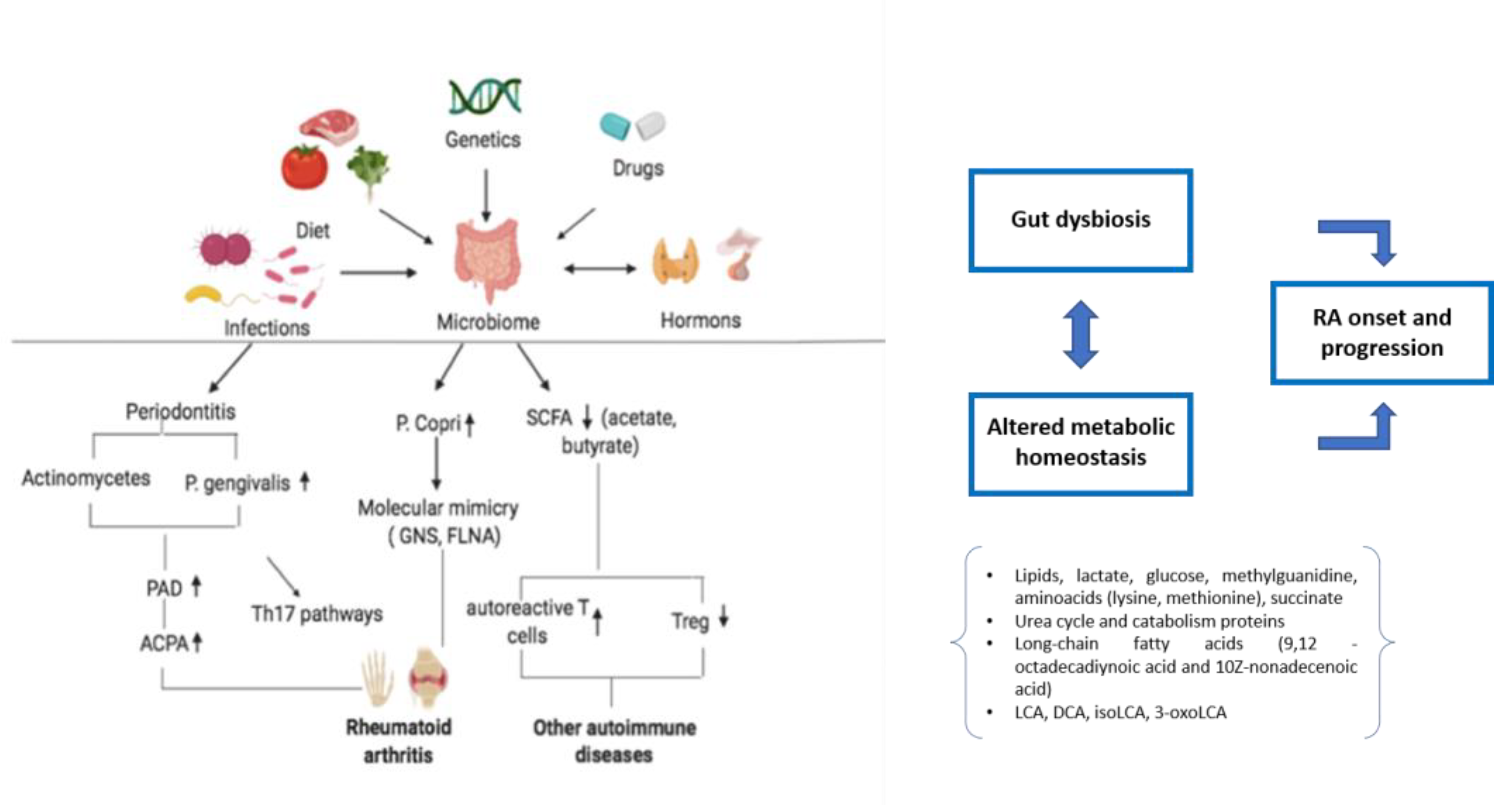 Biochem 03 00004 g001