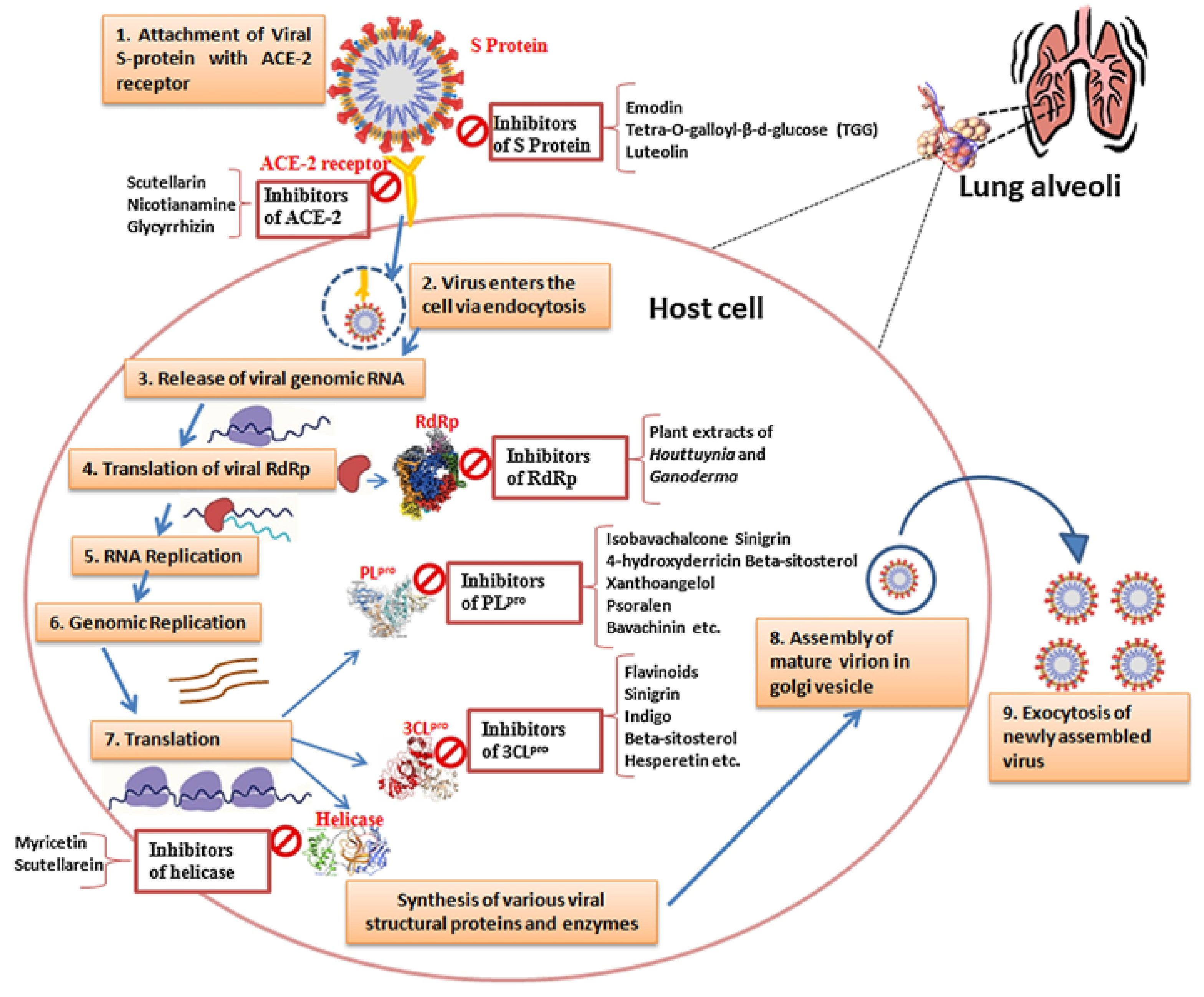 Biochem 04 00014 g001 Biochem 04 00014 g001
