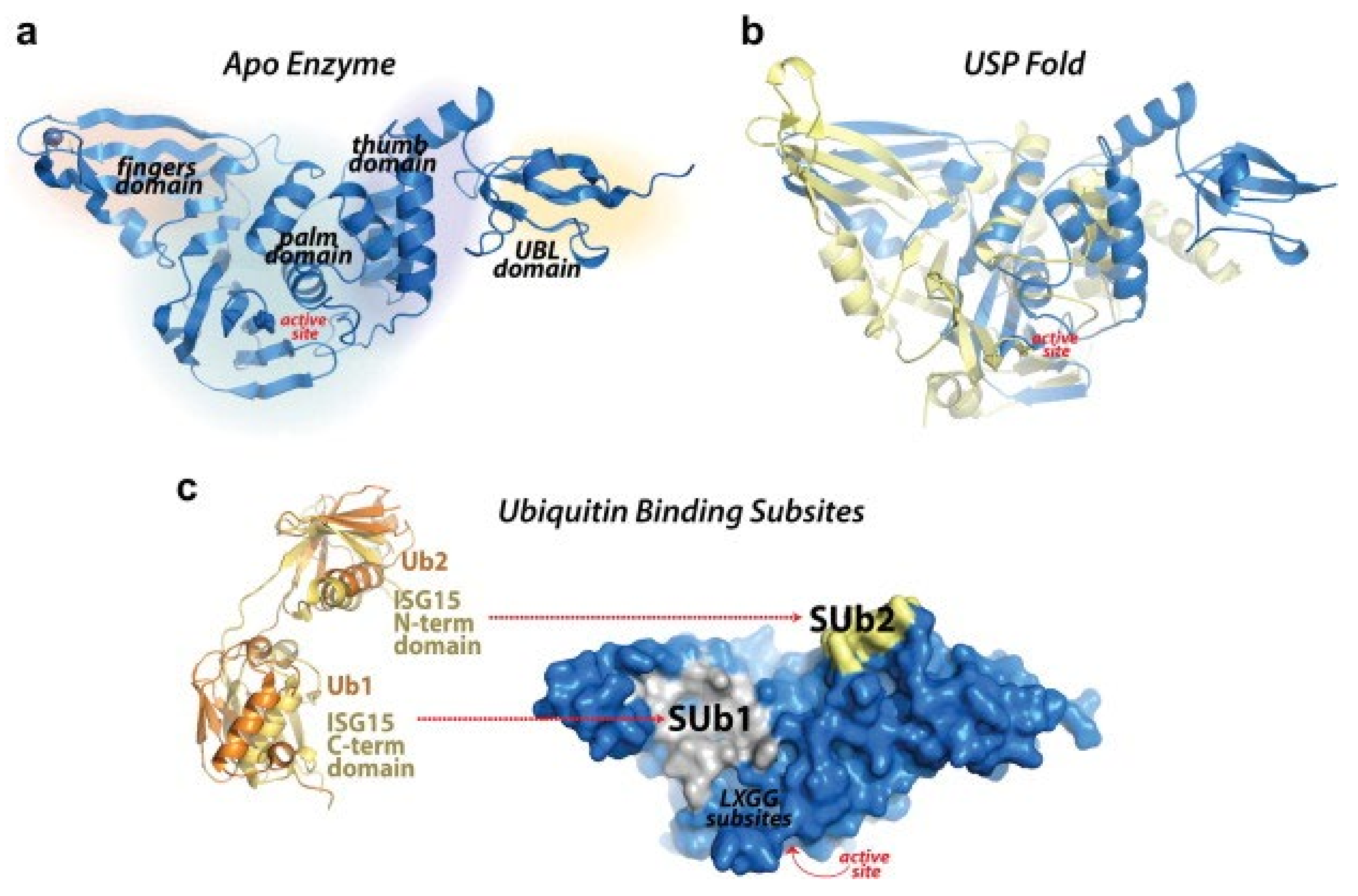 Biochem 04 00014 g002 Biochem 04 00014 g002