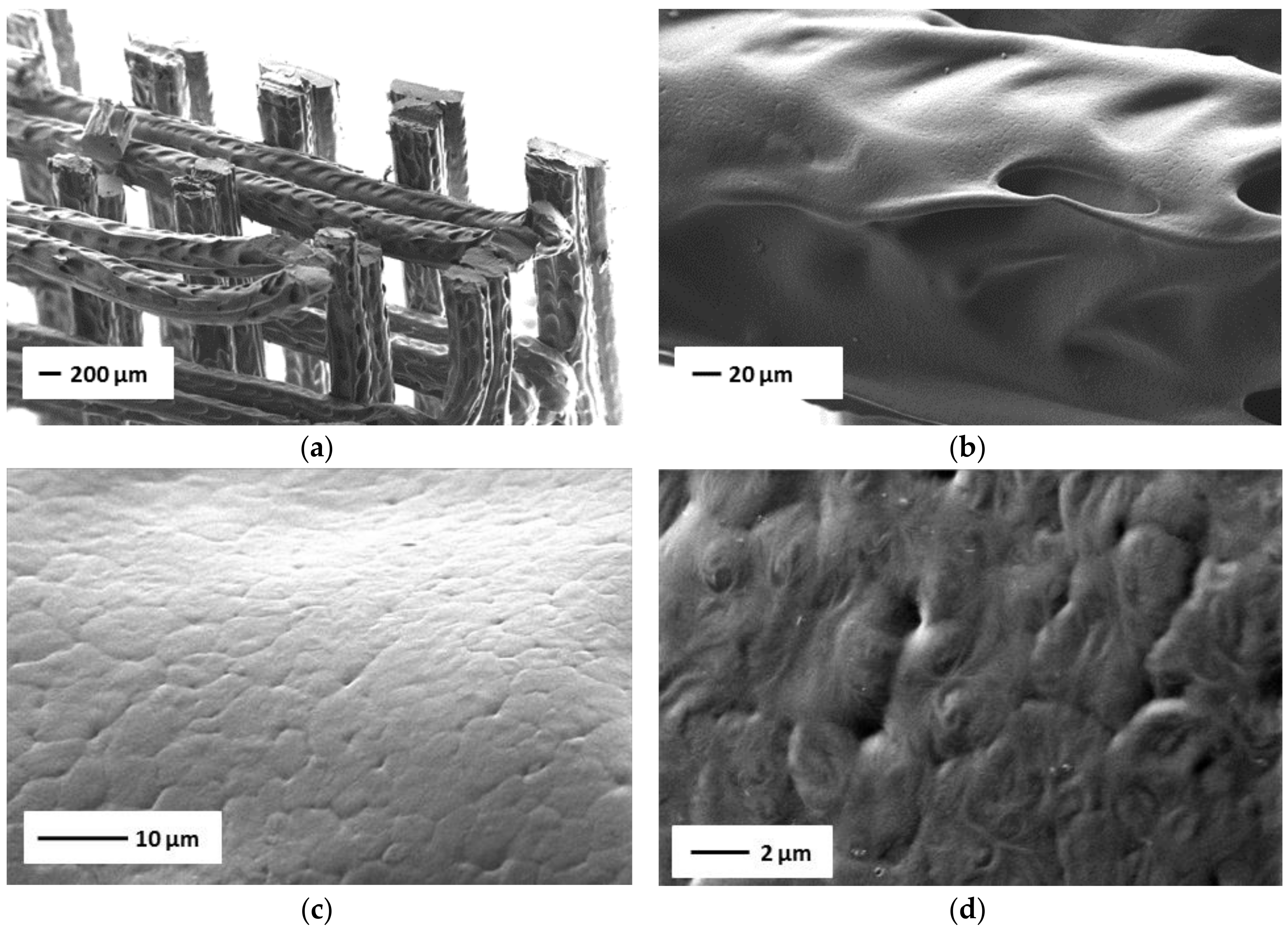 Free PCL-b-PEG-b Full-Text | Thermoplastic | ... Bioengineering