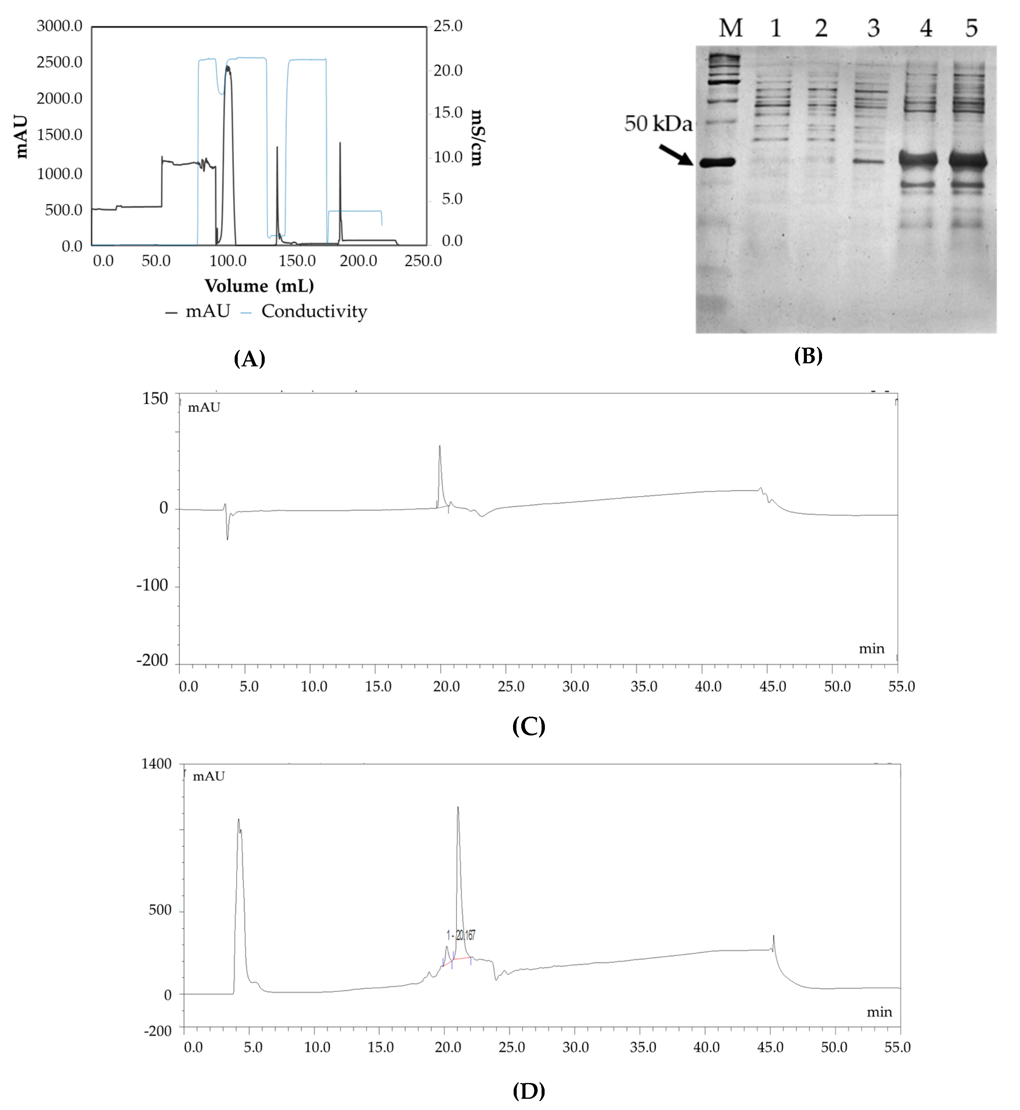 Bioengineering 06 00029 g002 Bioengineering 06 00029 g002
